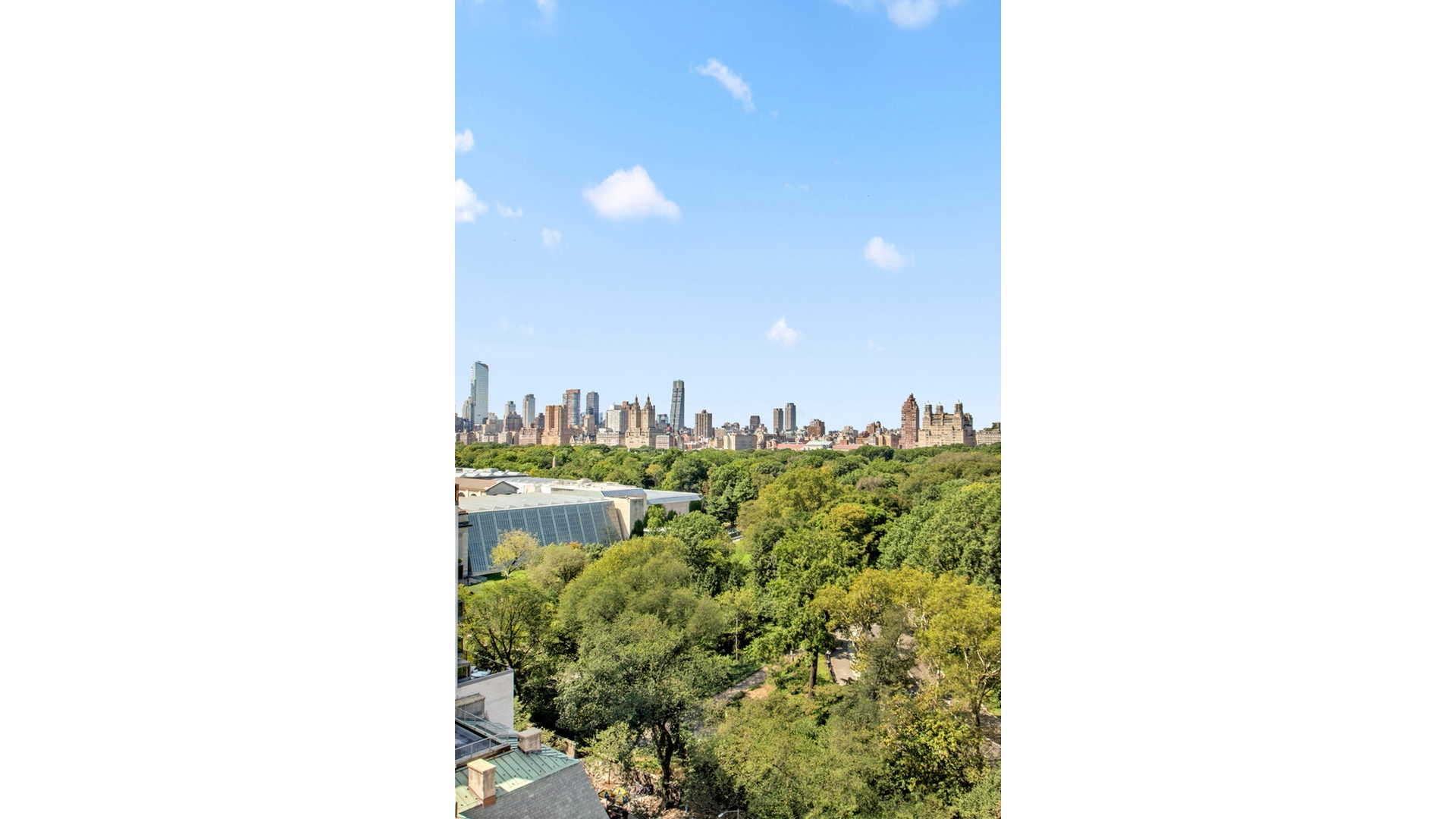1050 Fifth Avenue 17A Carnegie Hill New York NY 10028