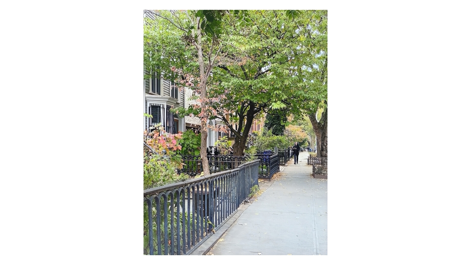 158 Nevins Street 2 Boerum Hill Brooklyn NY 11217