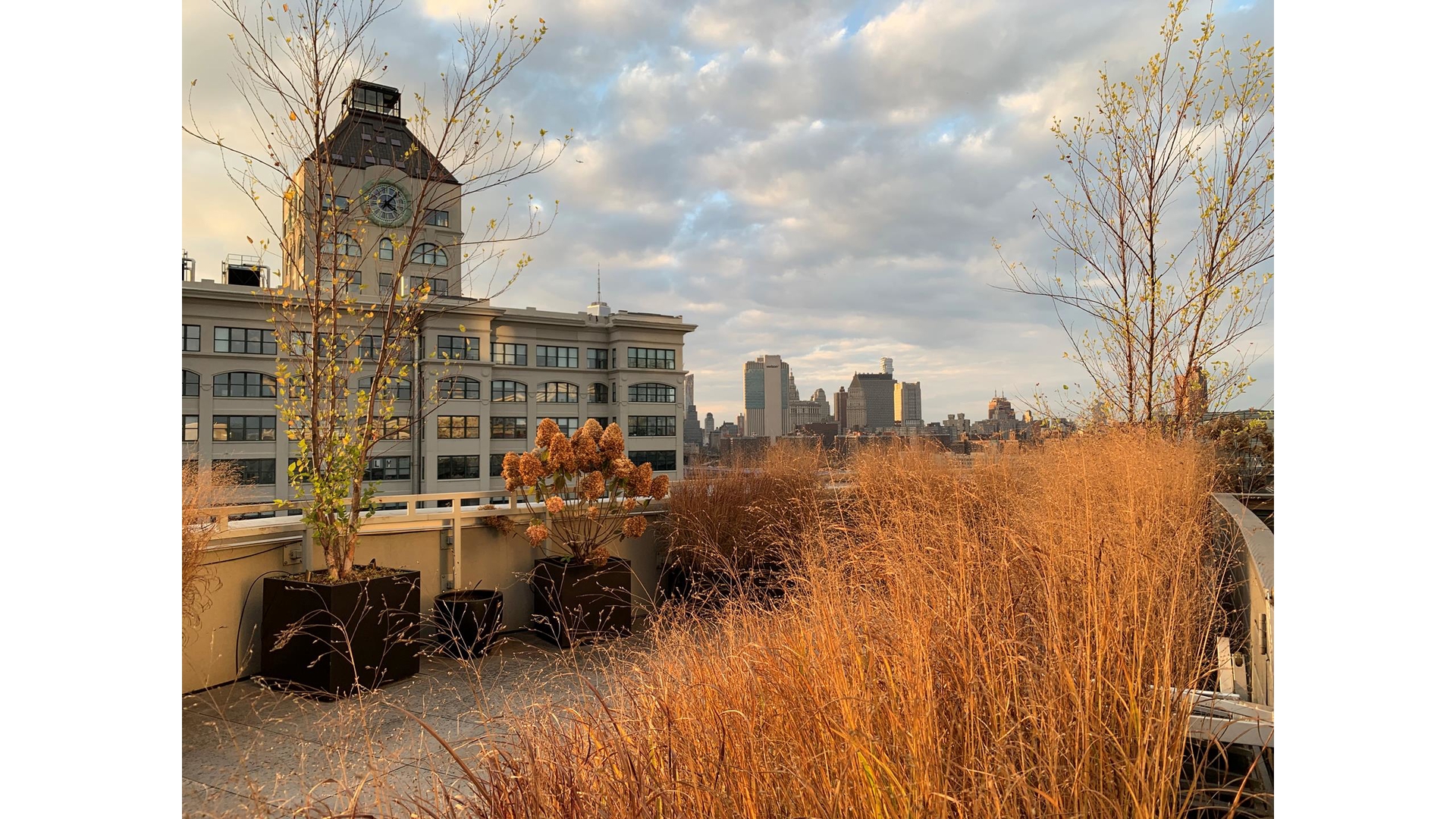 133 Water Street 2F Dumbo Brooklyn NY 11201