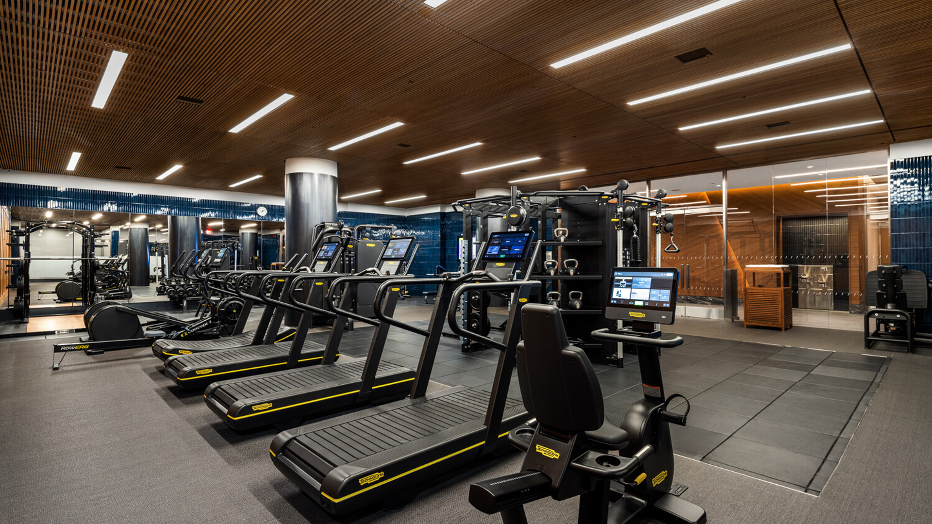 50 West 66th Street 17B Lincoln Square New York NY 10023