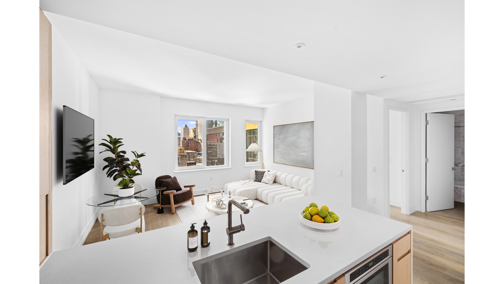 10 Nevins Street 14A Downtown Brooklyn NY 11217