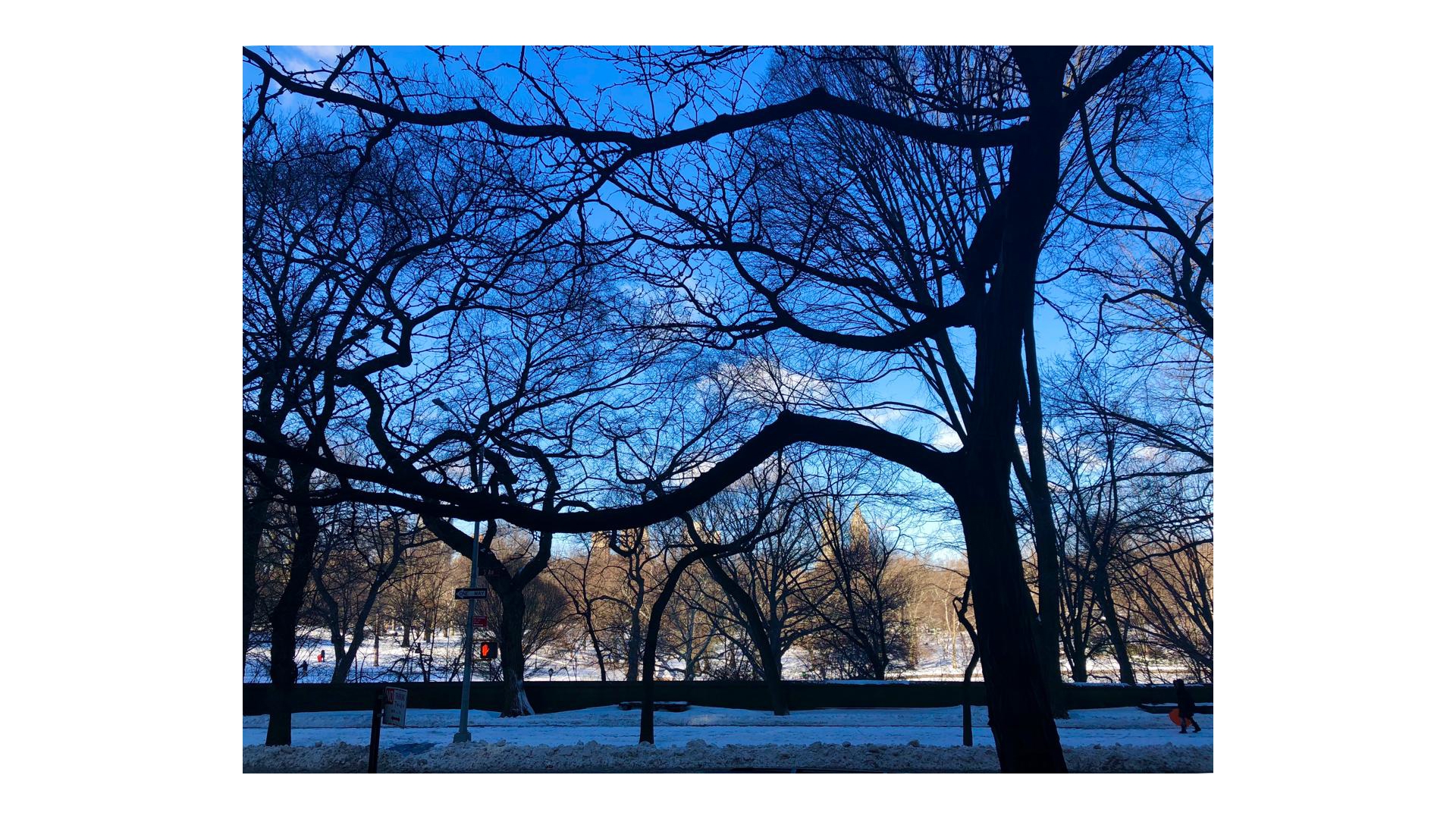 923 Fifth Avenue 2C Upper East Side New York NY 10021