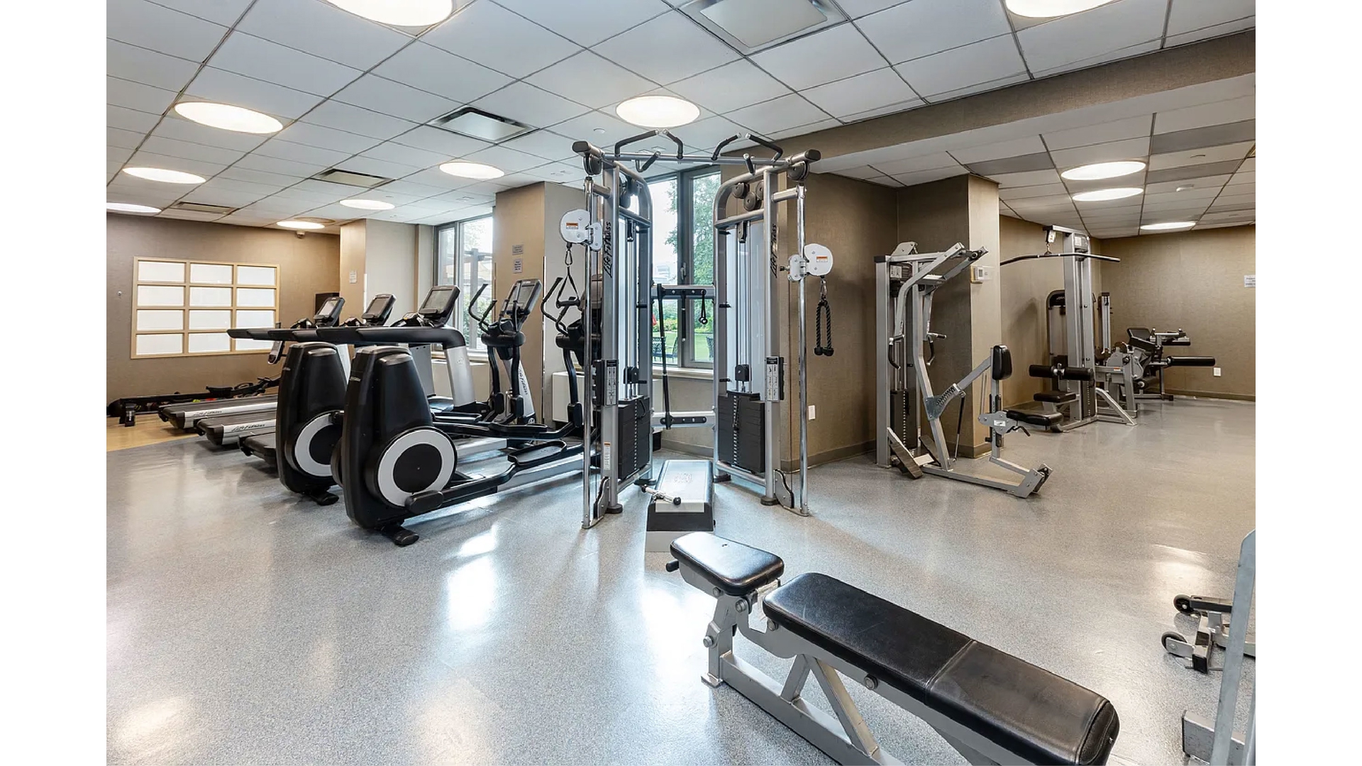 455 Main Street Roosevelt Island New York NY 10044