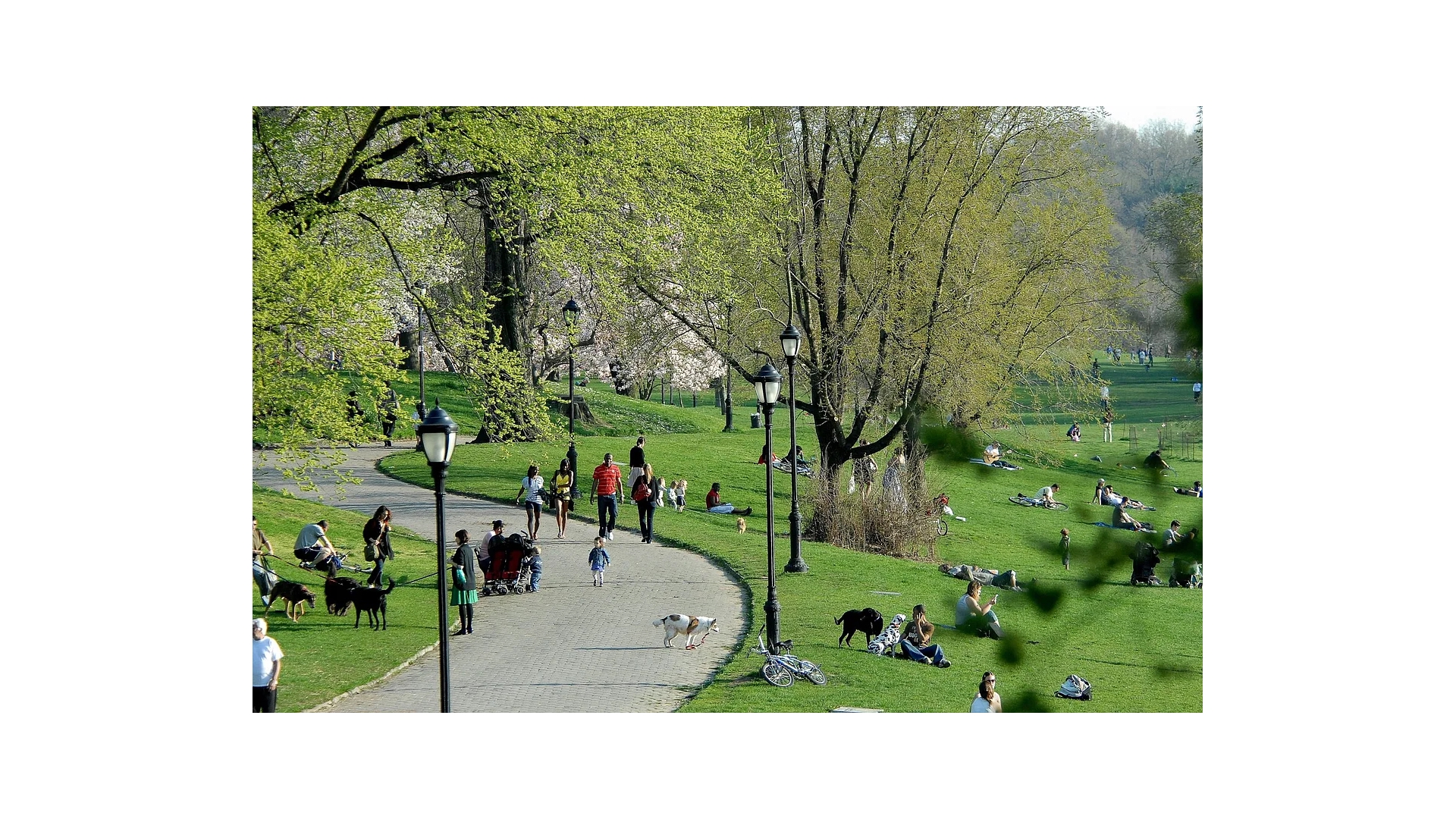 1042 President Street 2D Crown Heights Brooklyn NY 11225