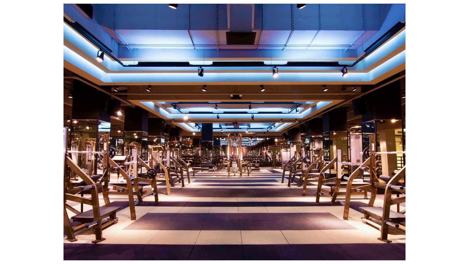 393 West 49th Street THF Clinton New York NY 10019