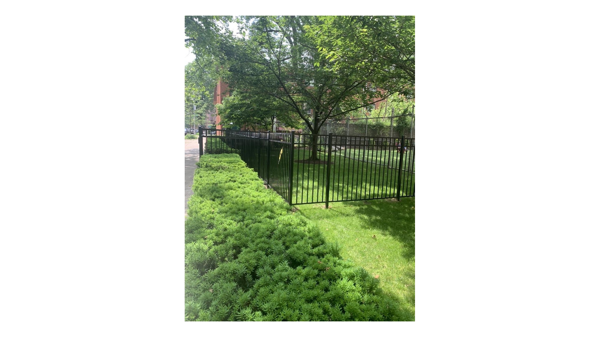 112-20 72nd Drive D28 Forest Hills Queens NY 11375