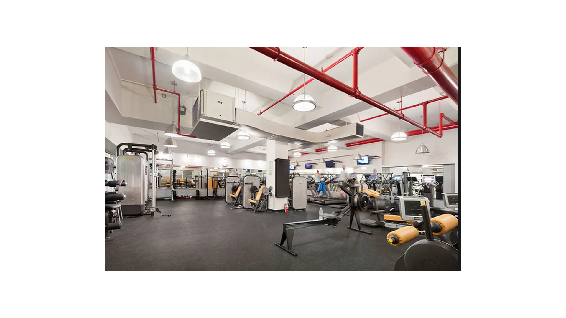 365 Bridge Street 5A Downtown Brooklyn NY 11201