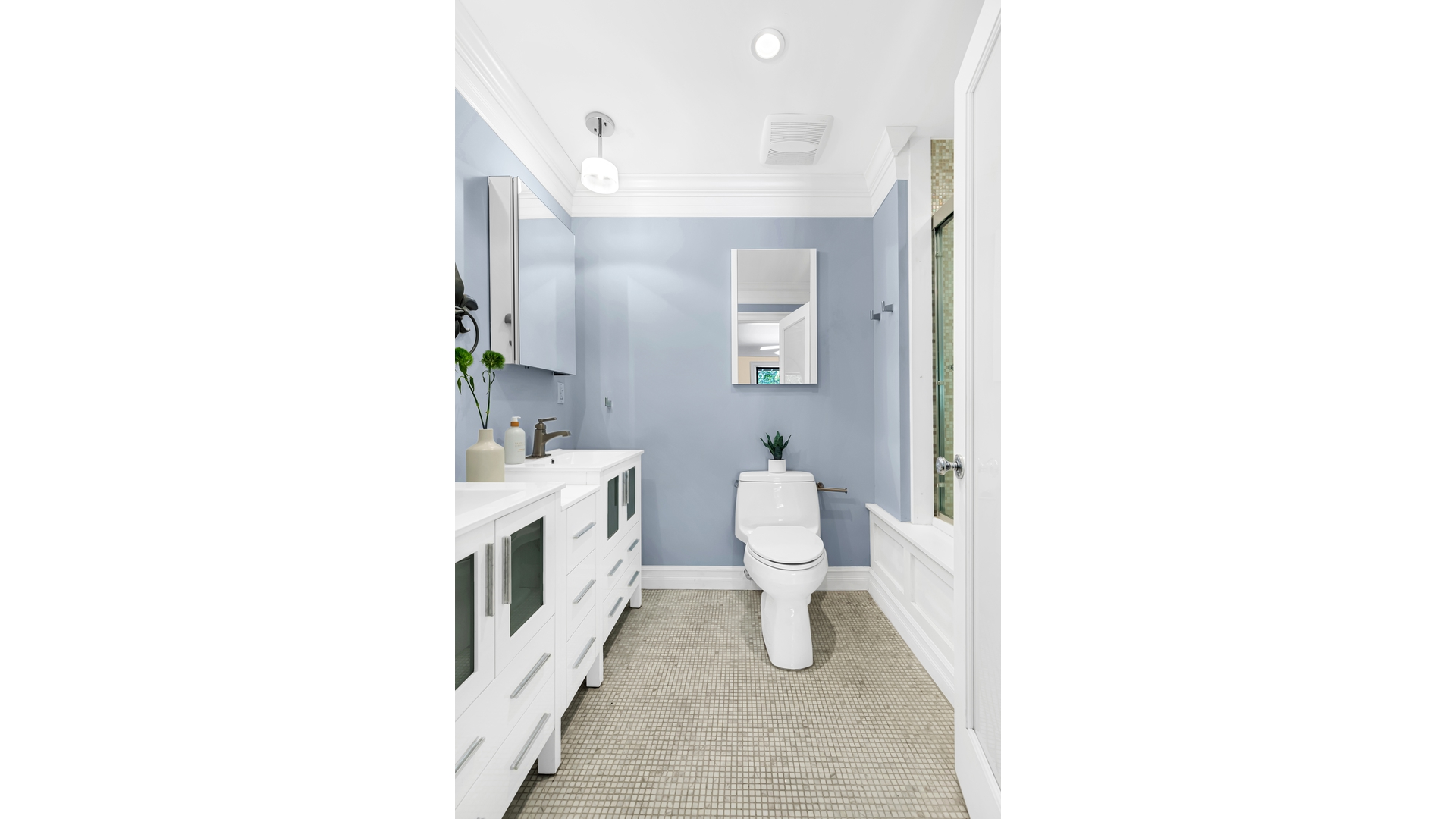 806 Halsey Street Stuyvesant Heights Brooklyn NY 11233