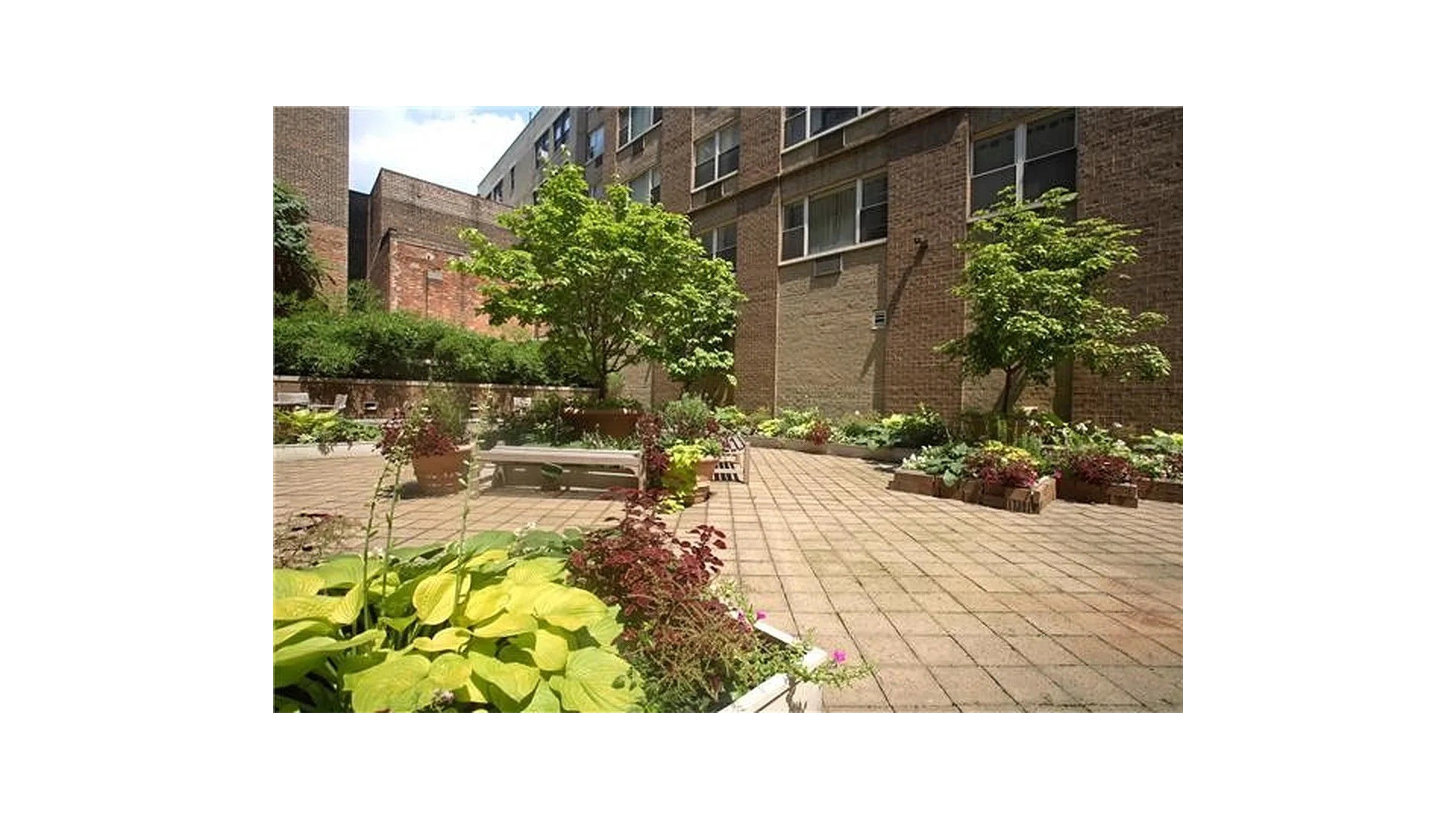 301 Elizabeth Street 6A Noho New York NY 10012