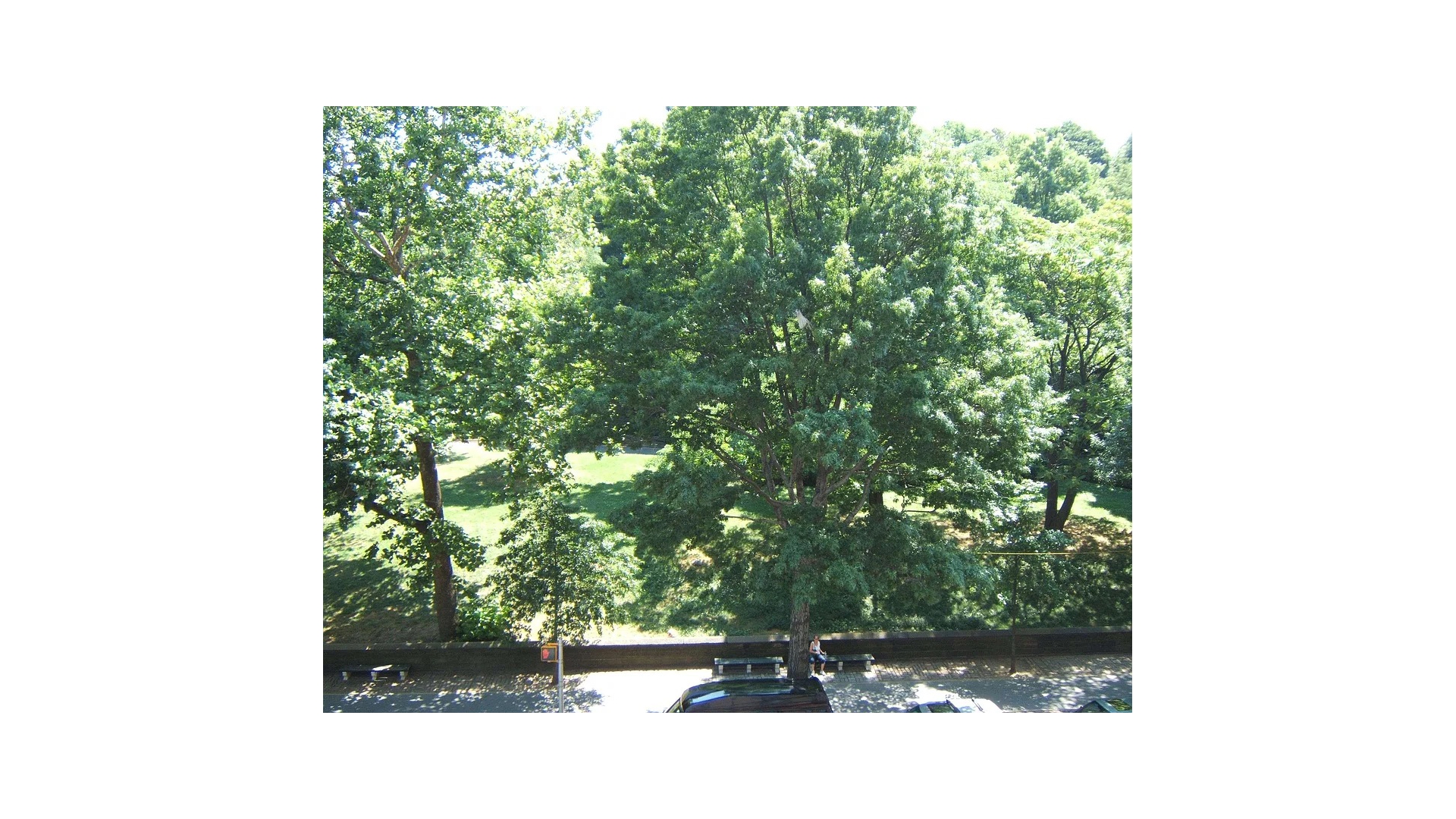 467 Central Park West 4B Central Park West New York NY 10025