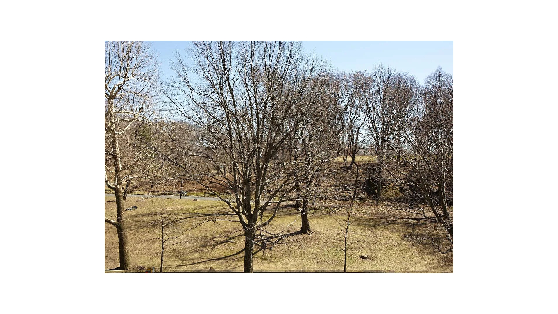 467 Central Park West 4B Central Park West New York NY 10025