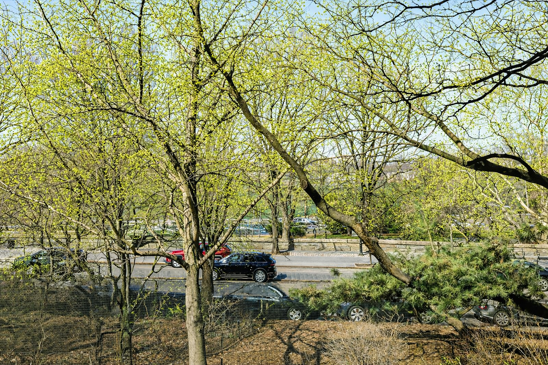 222 Riverside Drive 2B Upper West Side New York NY 10025