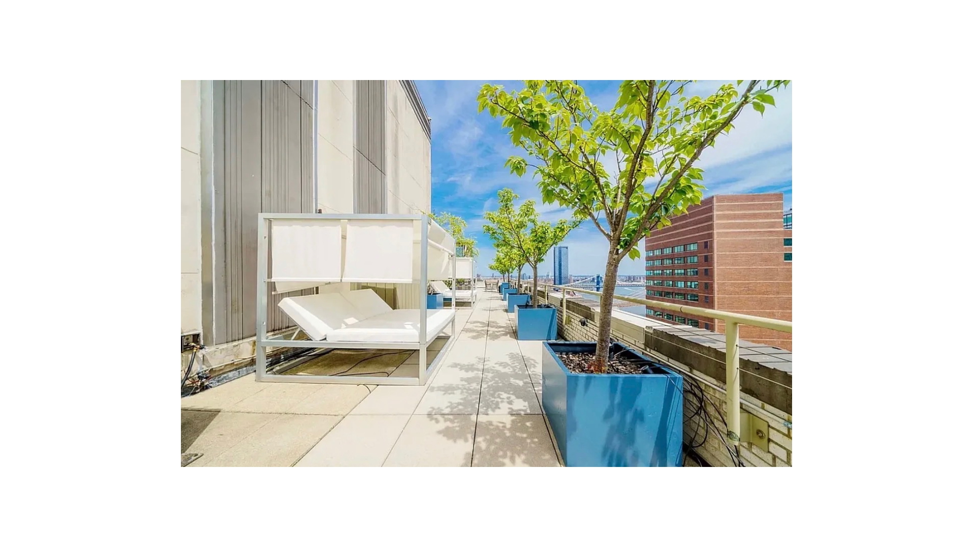 99 John Street 205 Seaport District New York NY 10038