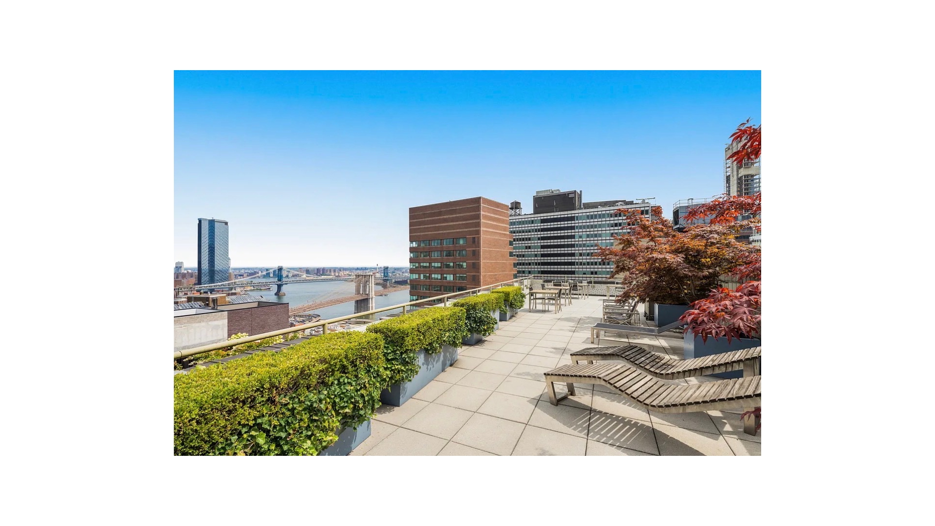 99 John Street 205 Seaport District New York NY 10038