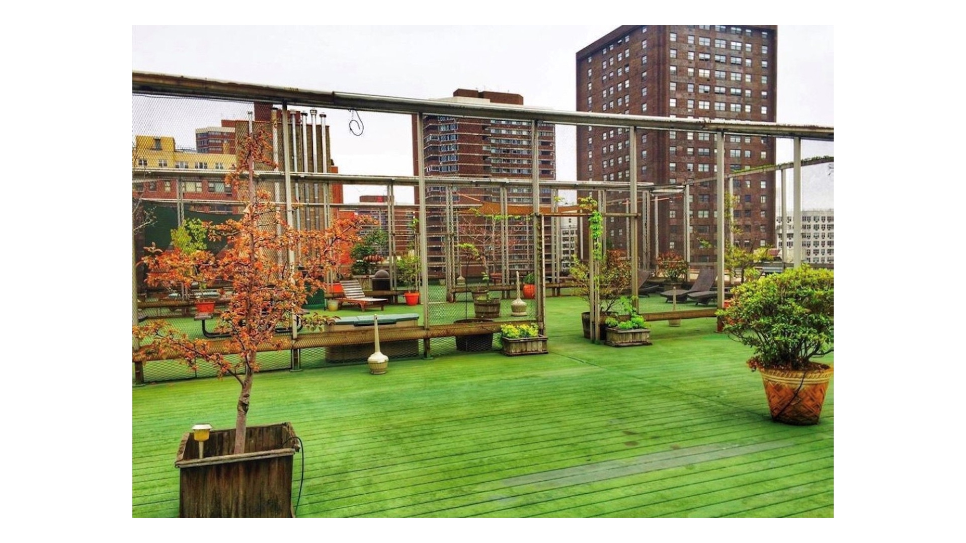 215 East 24th Street 820 Kips Bay New York NY 10010