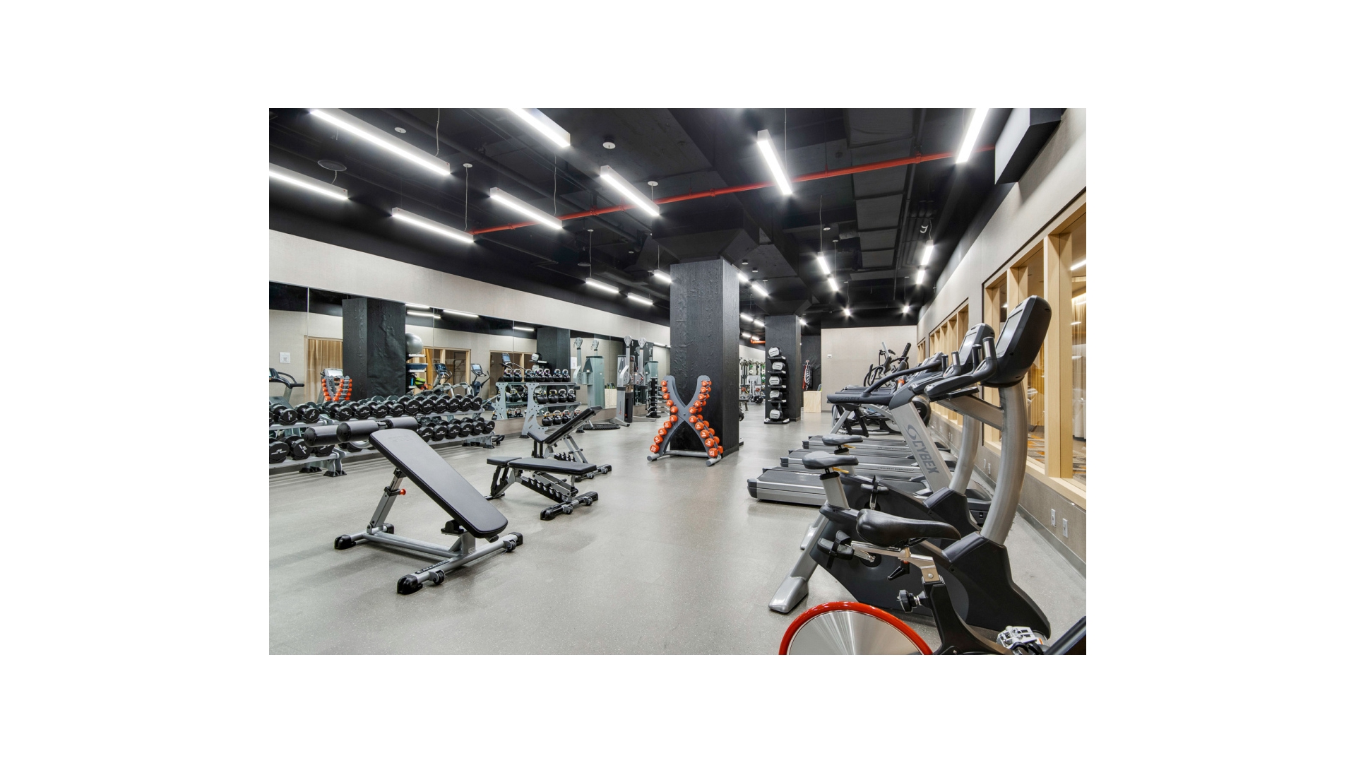 100 Barclay Street 22B Tribeca New York NY 10007