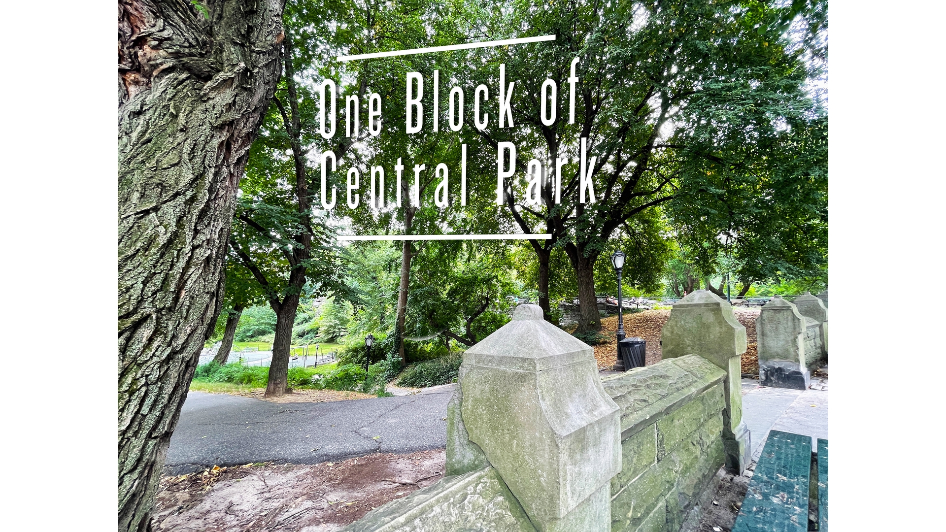 321 West 110th Street 7A Manhattan Valley New York NY 10026