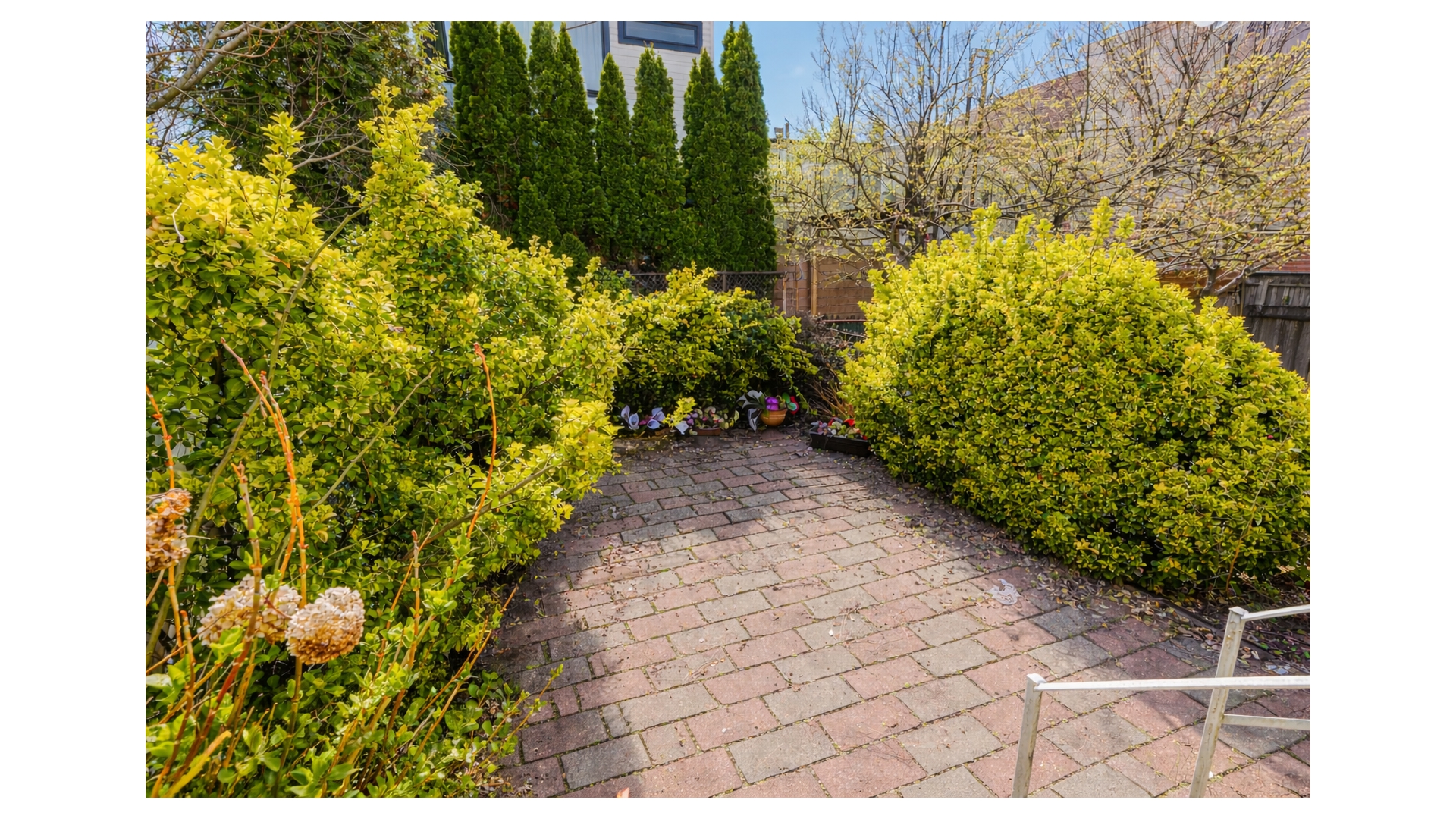 1942 61st Street Mapleton Brooklyn NY 11204