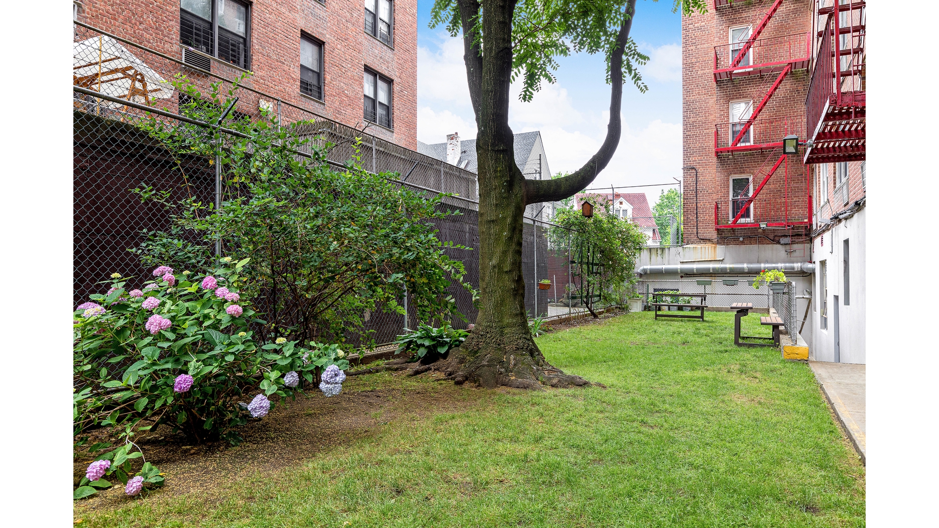 415 Argyle Road Ditmas Park Brooklyn NY 11218