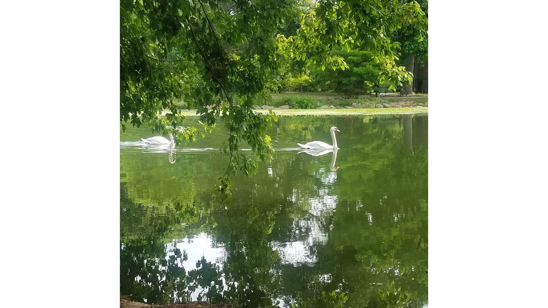 135 Prospect Park Southwest Windsor Terrace Brooklyn NY 11218