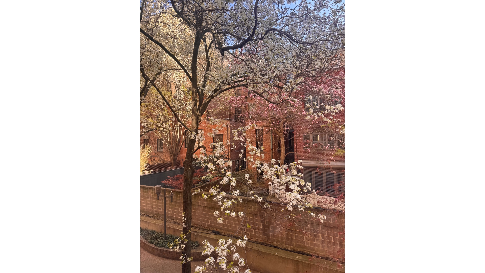 64 East 94th Street Carnegie Hill New York NY 10128