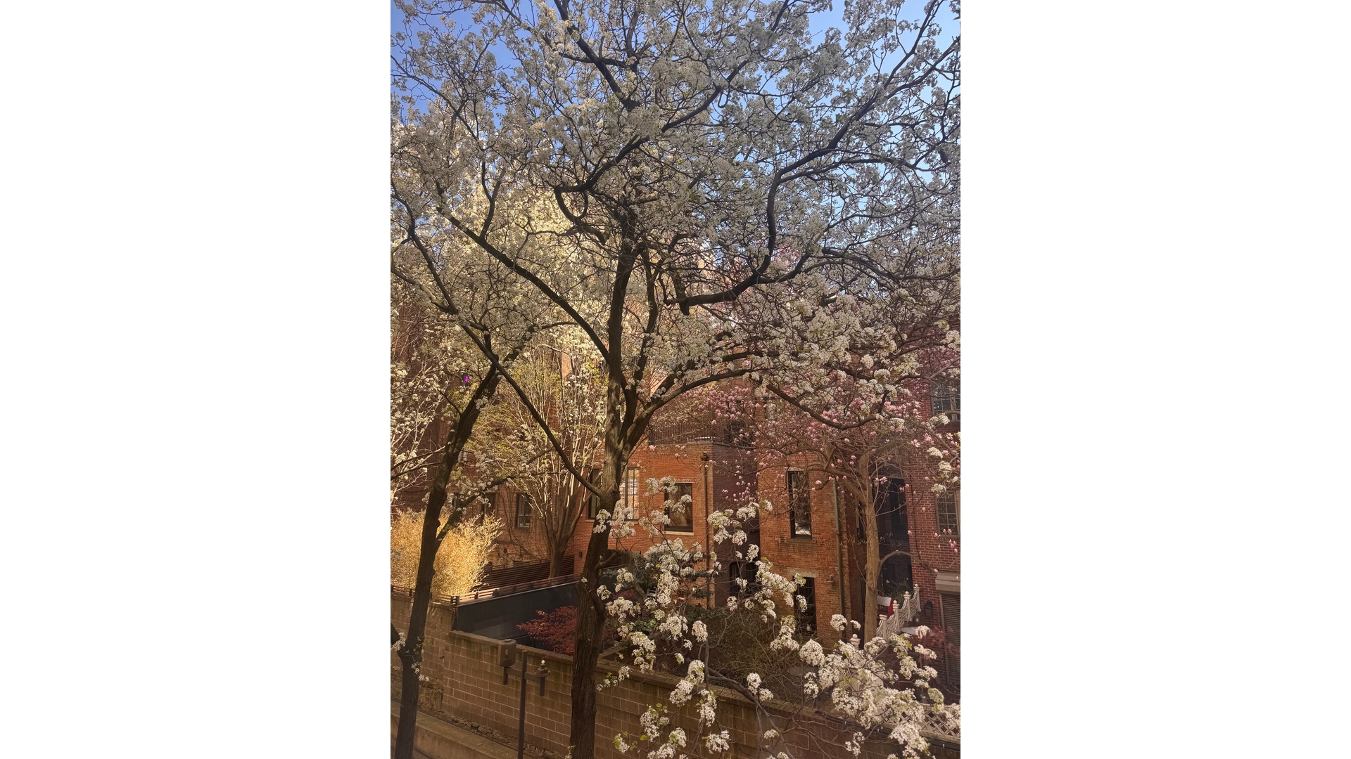 64 East 94th Street Carnegie Hill New York NY 10128