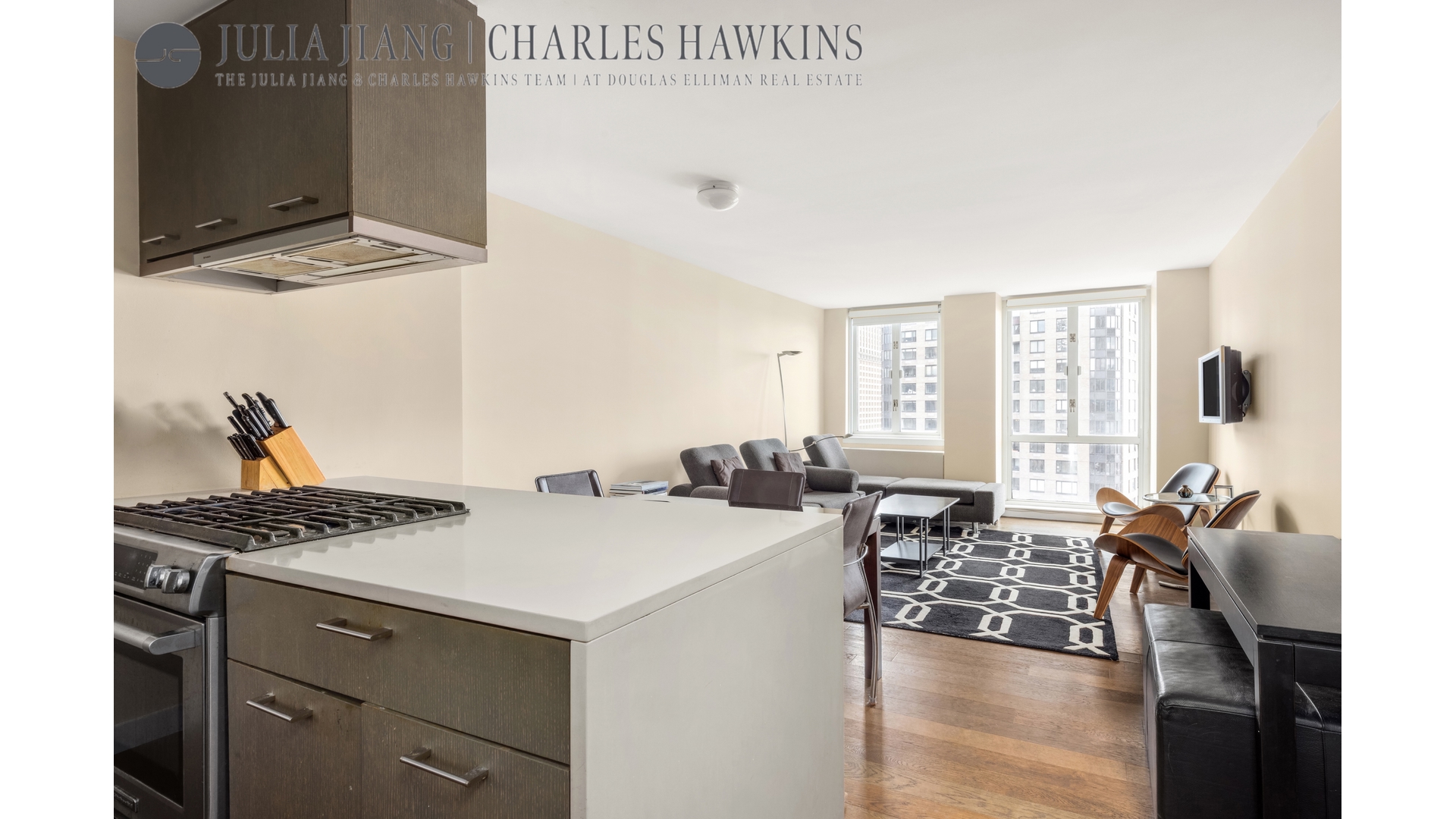 225 Rector Place 22E Battery Park City New York NY 10280