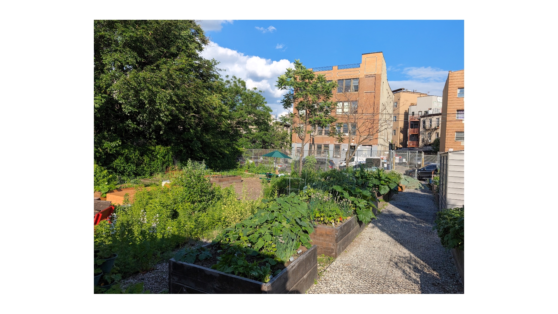 129 Stockholm Street 4F Bushwick Brooklyn NY 11221