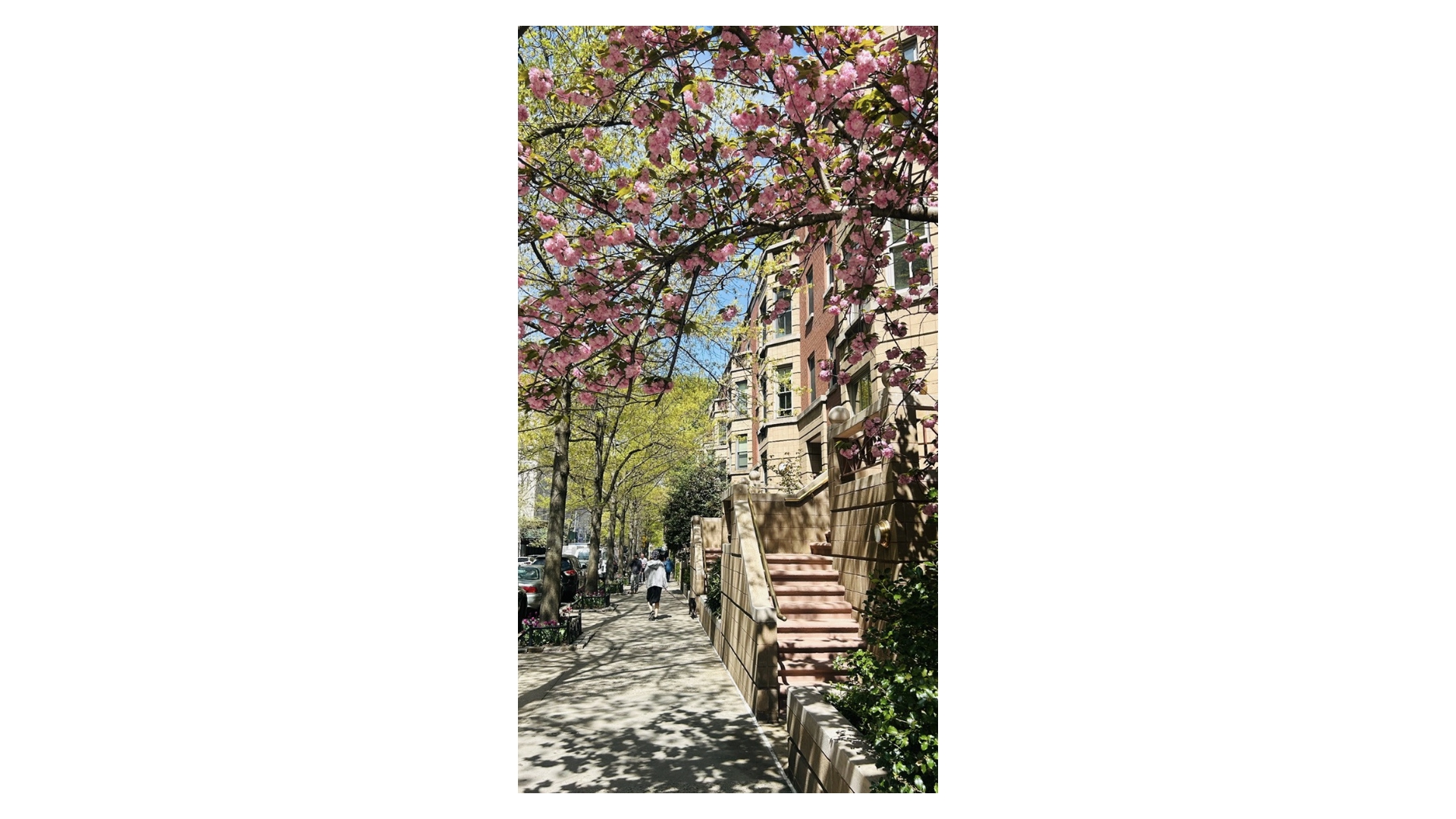 111 West 89th Street PHA Upper West Side New York NY 10024