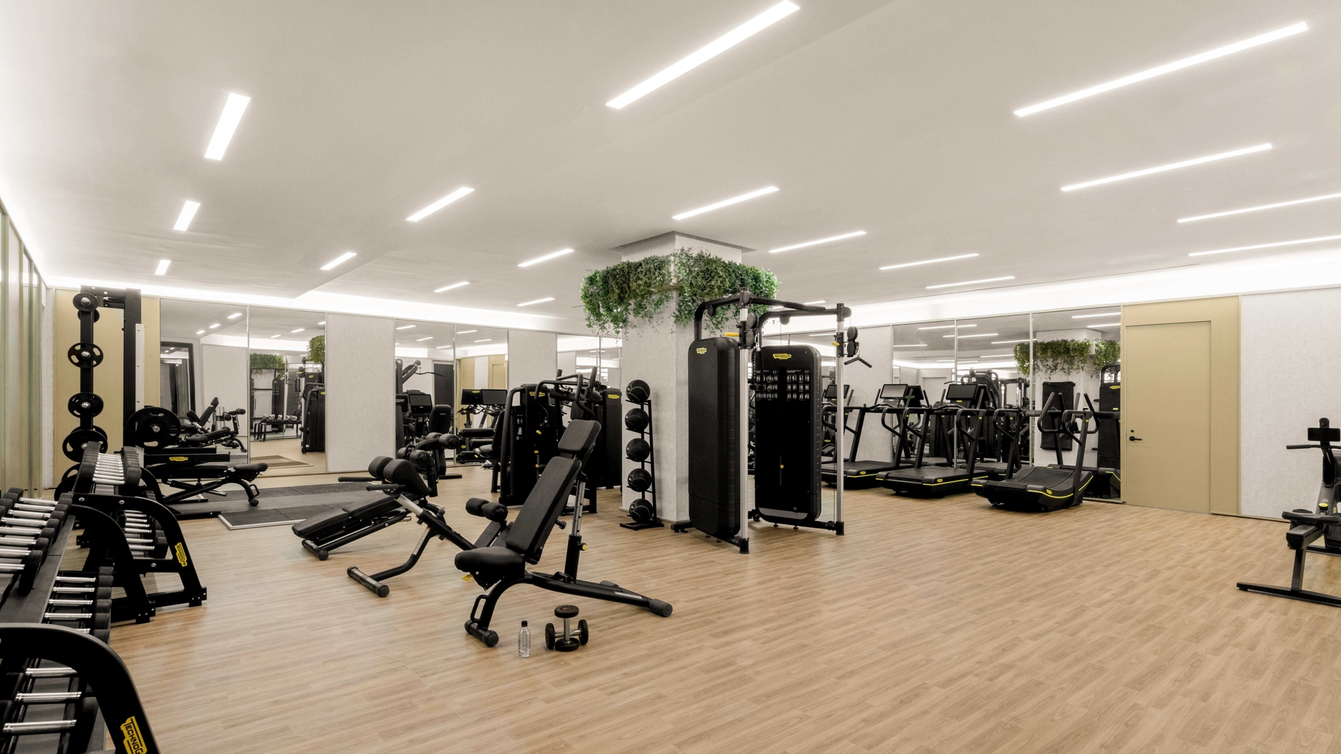 215 West 28th Street 16A Chelsea New York NY 10001