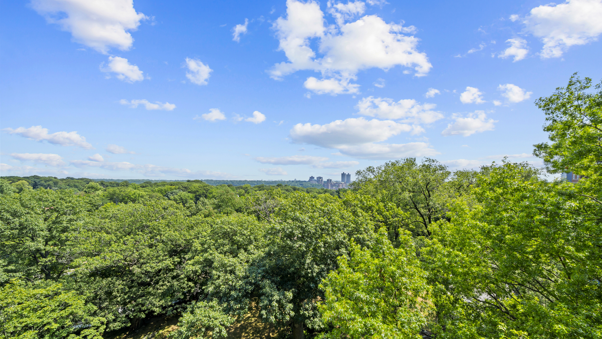 4555 Henry Hudson Parkway West 908 Riverdale Bronx NY 10471