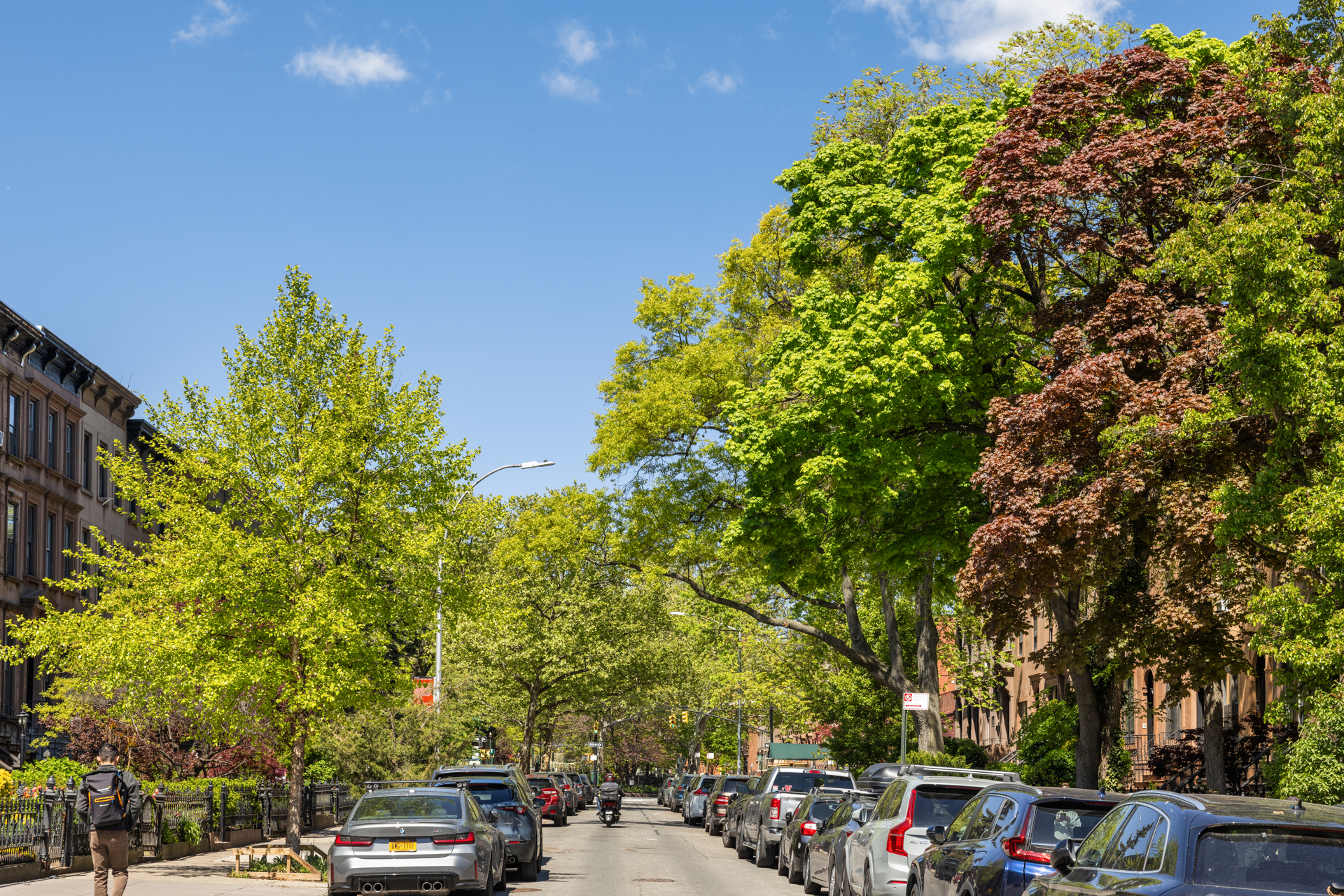 330 President Street Carroll Gardens Brooklyn NY 11231