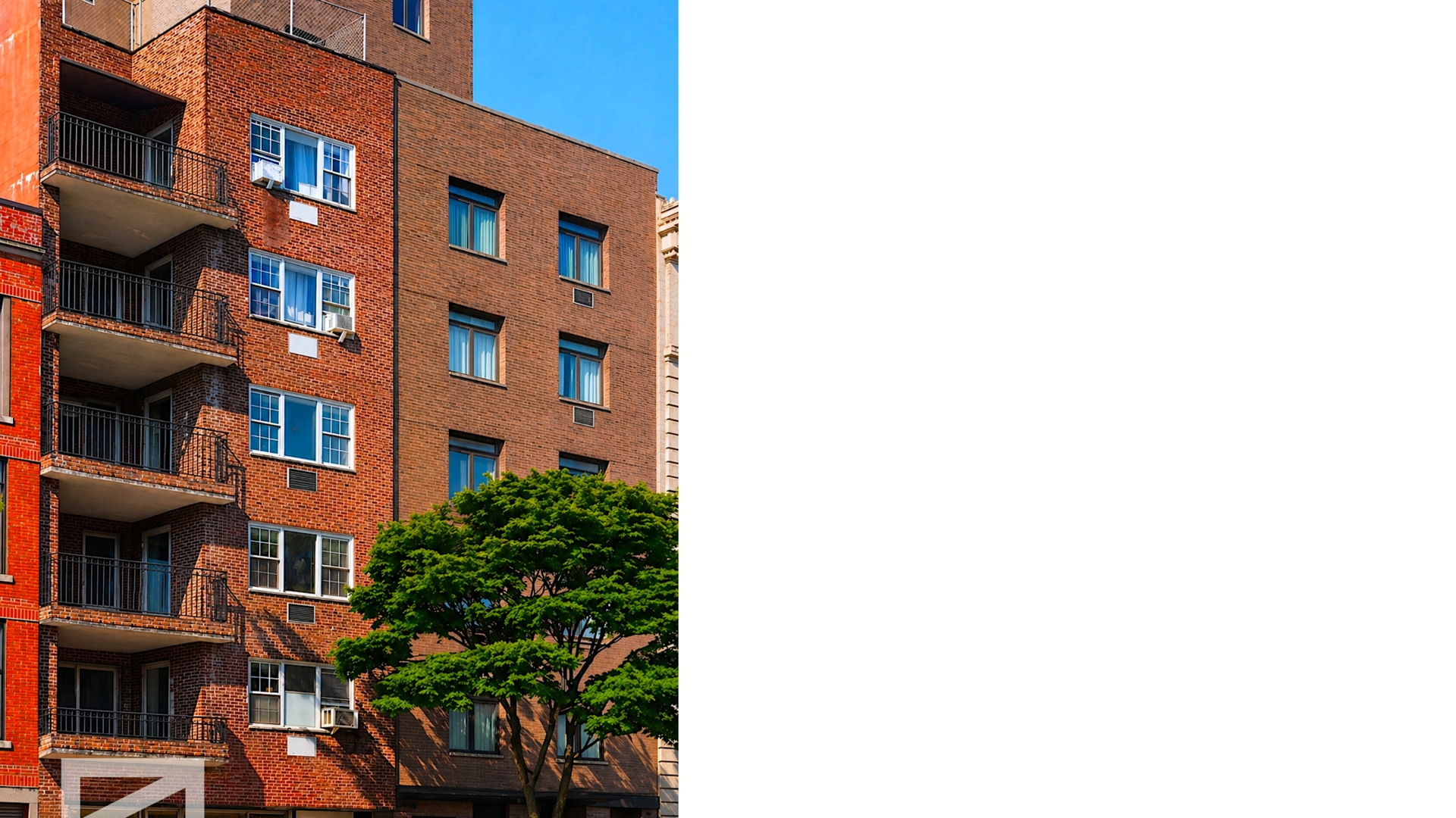 446 East 149th Street Mott Haven Bronx NY 10455