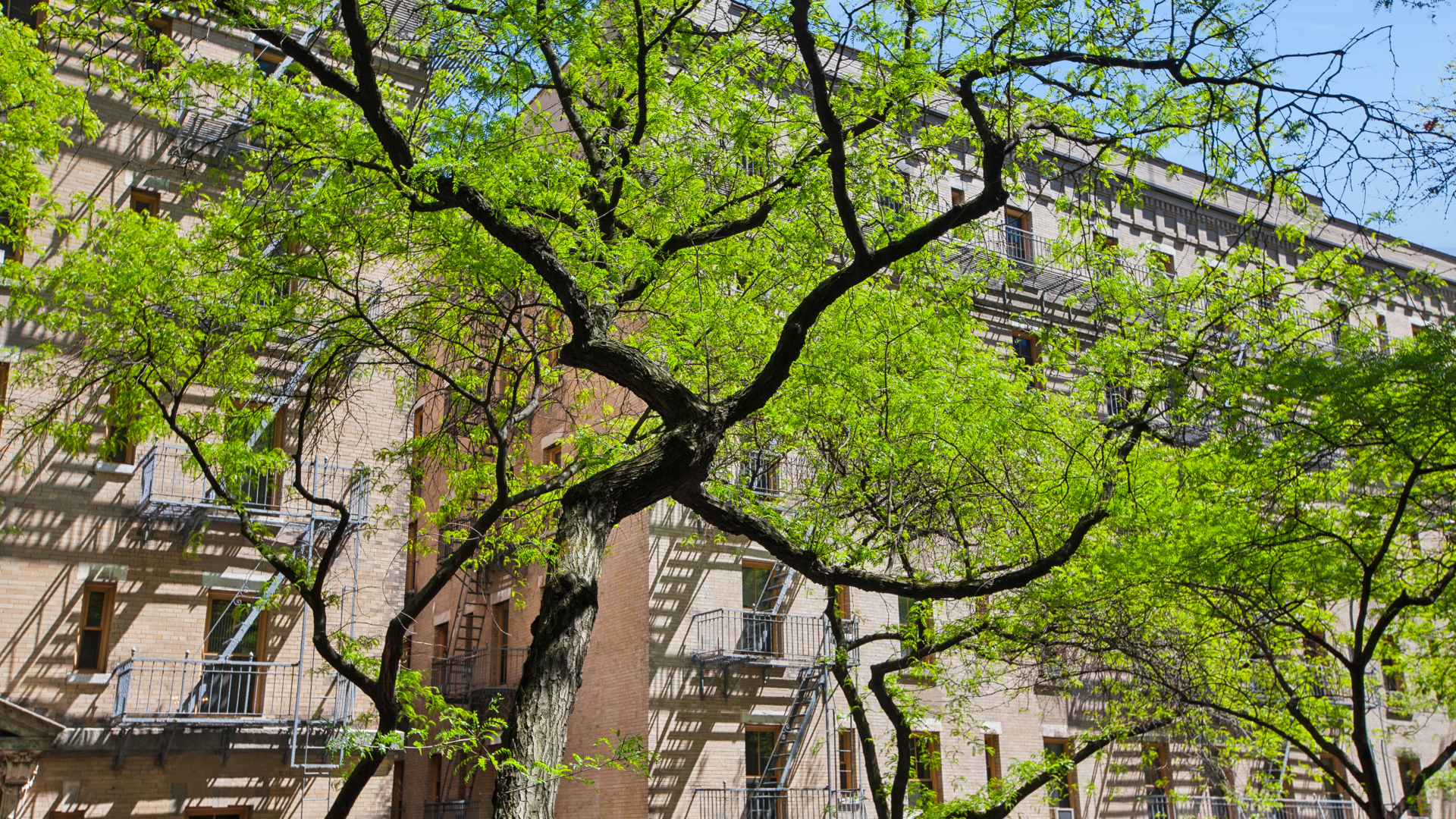 420 East 64th Street W2F Upper East Side New York NY 10065