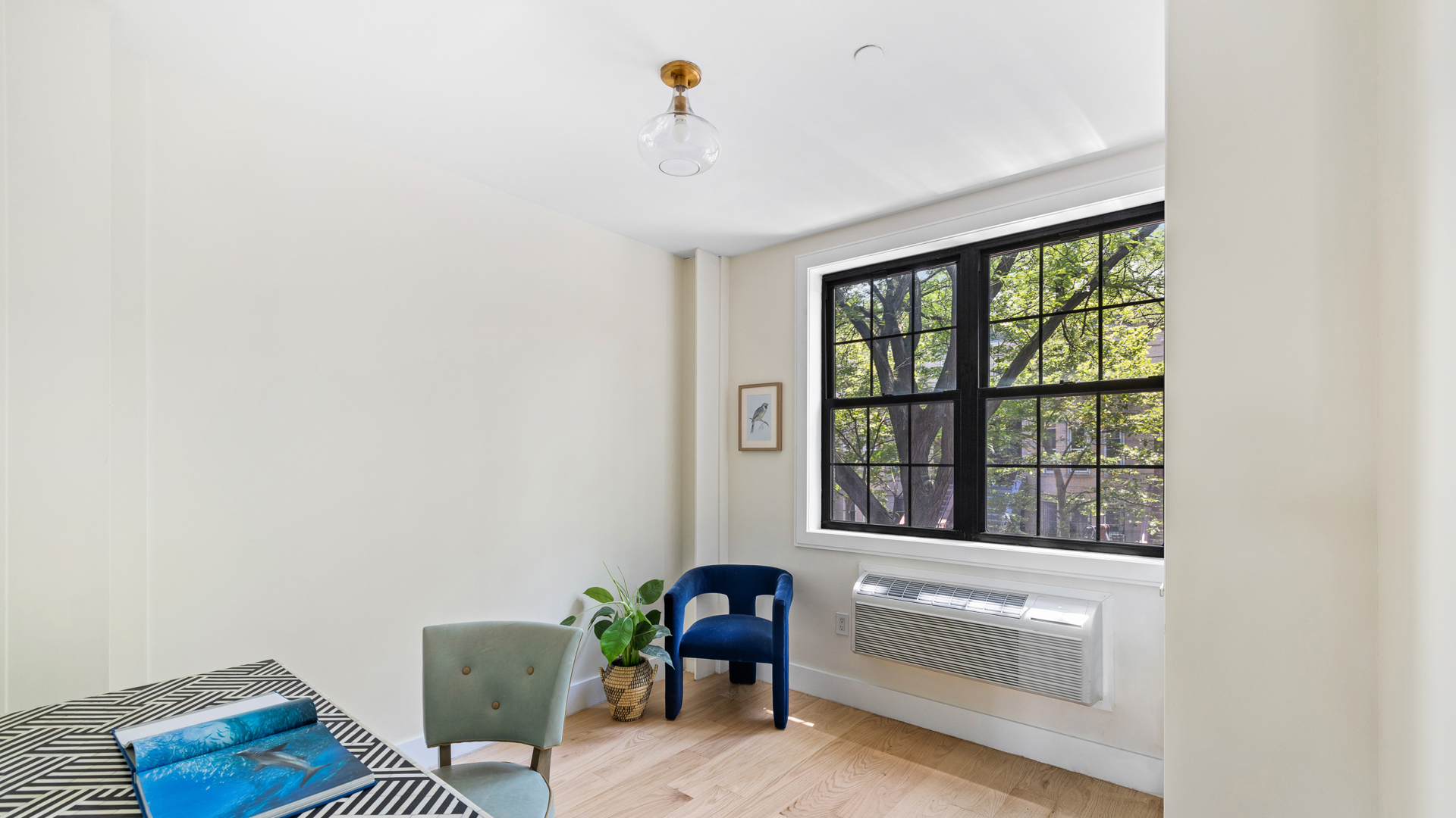 219 Weirfield Street 3 Bushwick Brooklyn NY 11221