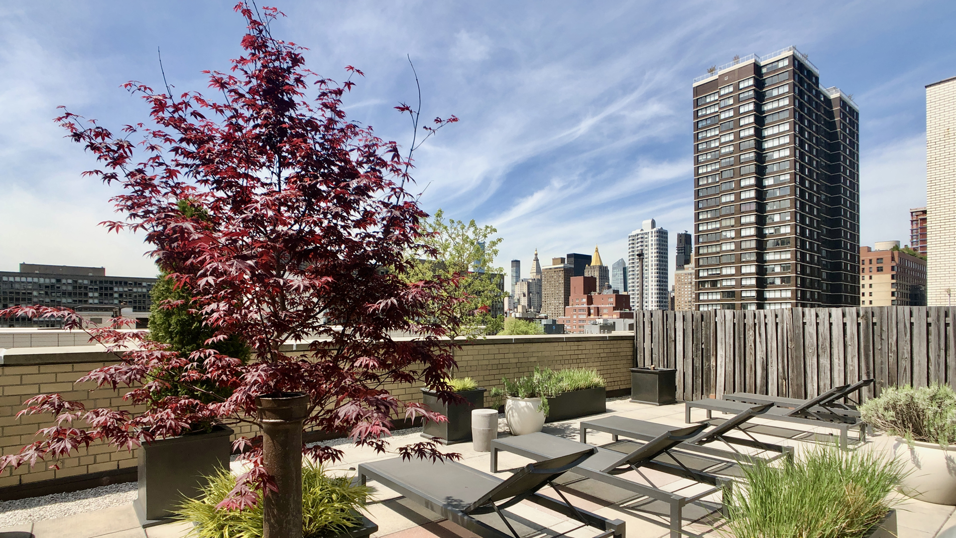333 East 34th Street 14H Murray Hill New York NY 10016