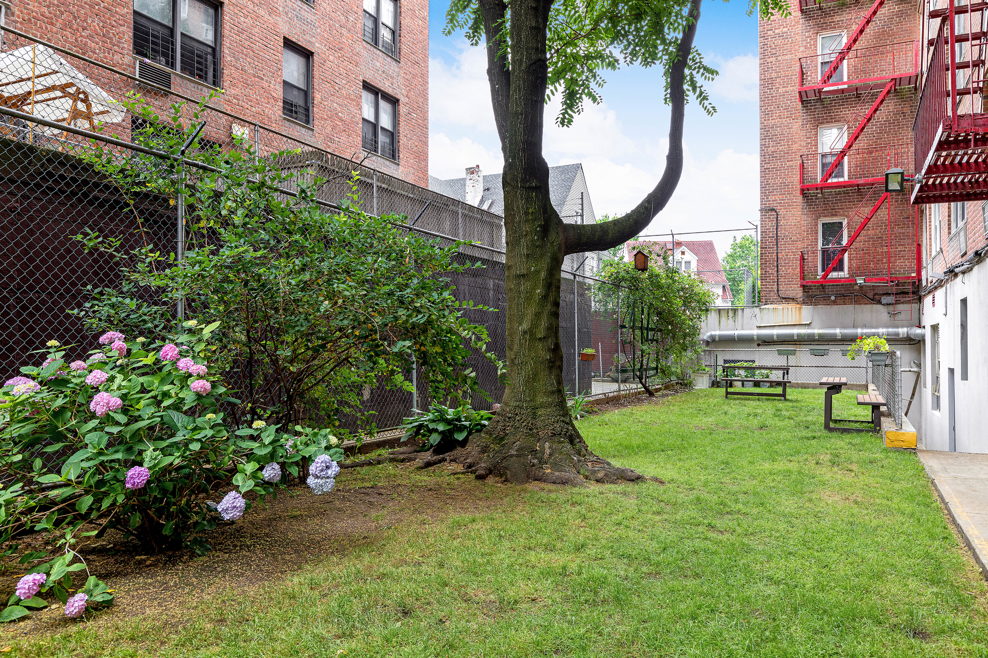 415 Argyle Road 3E Ditmas Park Brooklyn NY 11218
