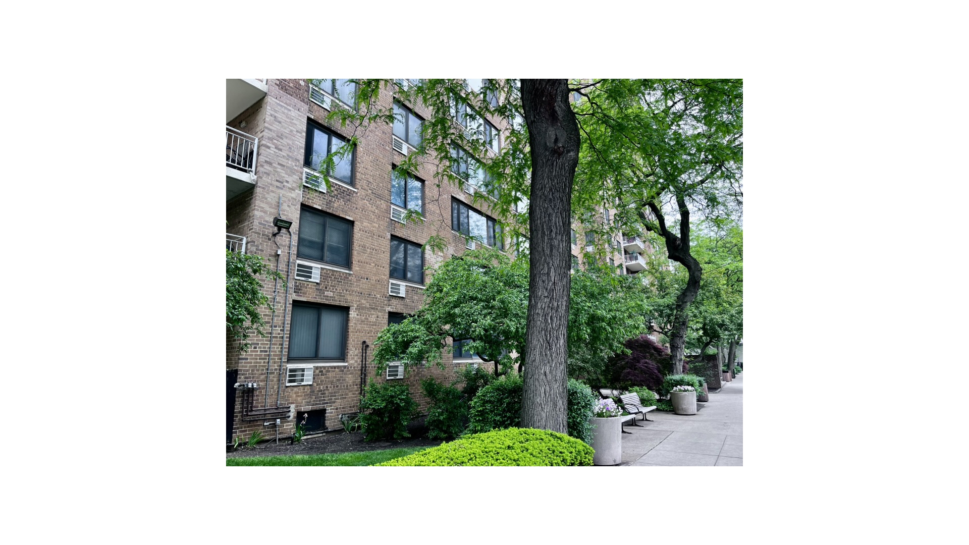 185 Hall Street 1109 Clinton Hill Brooklyn NY 11205