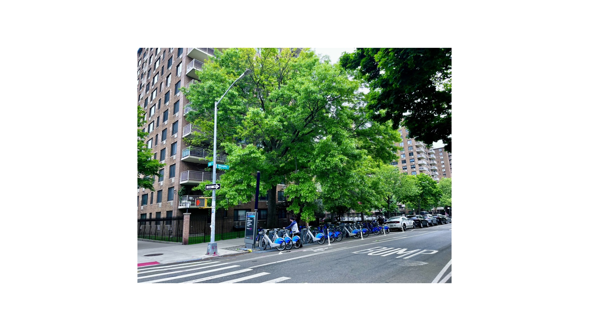 185 Hall Street 1109 Clinton Hill Brooklyn NY 11205