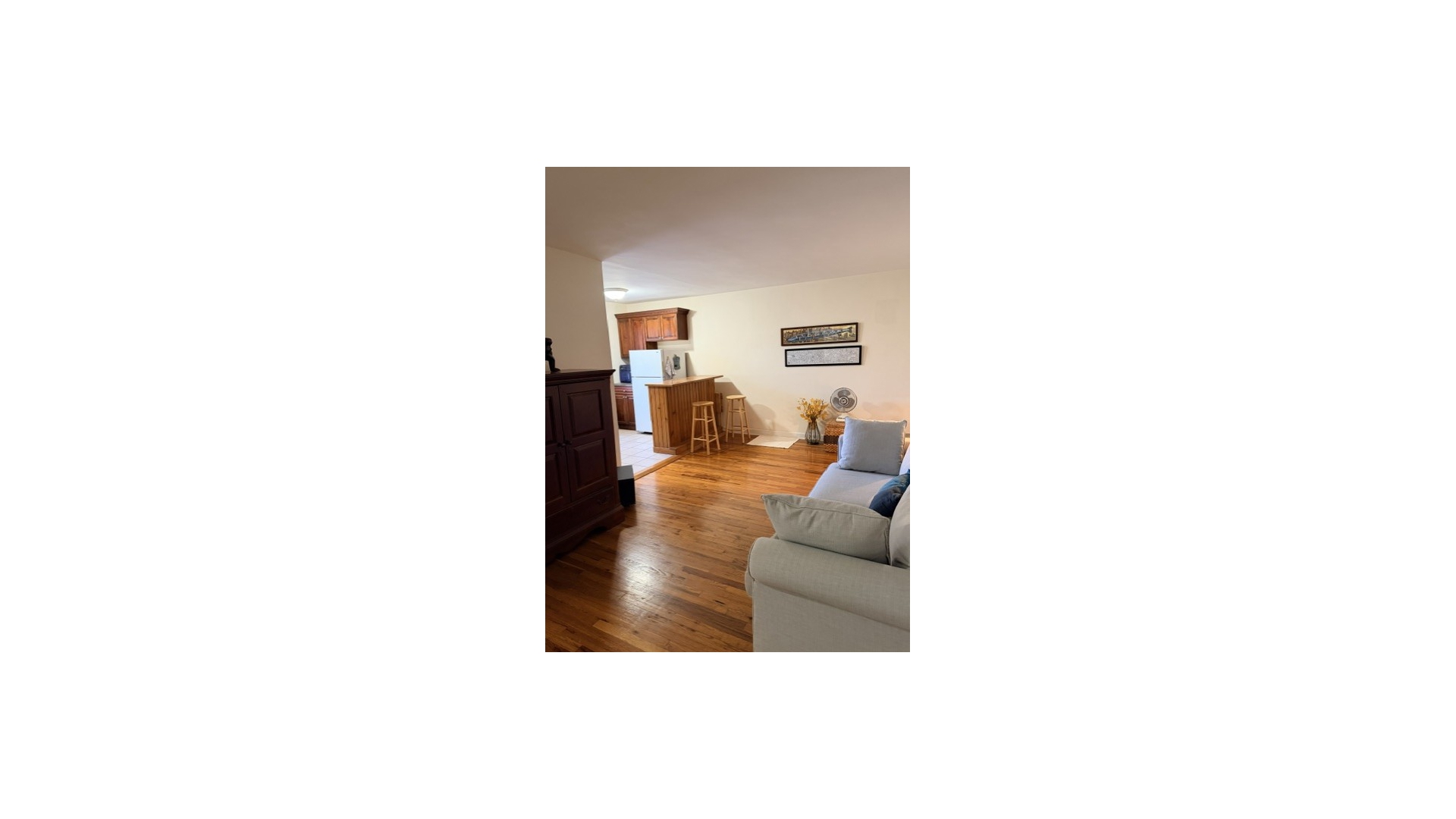 3400 Snyder Avenue 3H East Flatbush Brooklyn NY 11203