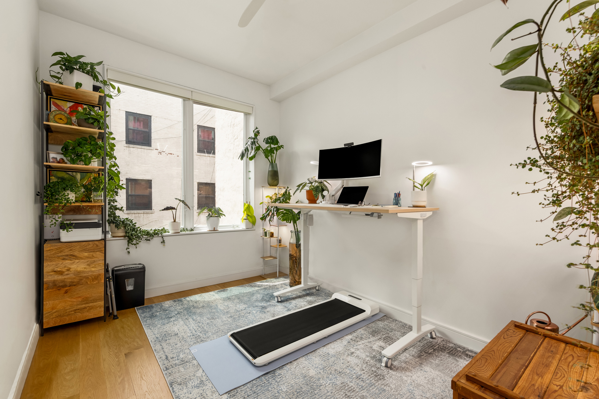 320 Tompkins Avenue Bedford Stuyvesant Brooklyn NY 11216