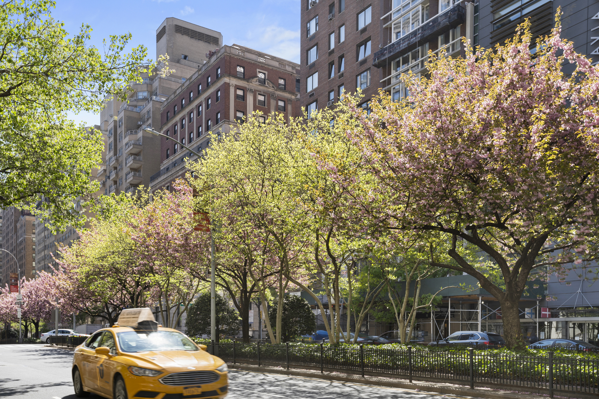 71 Park Avenue 3B Murray Hill New York NY 10016