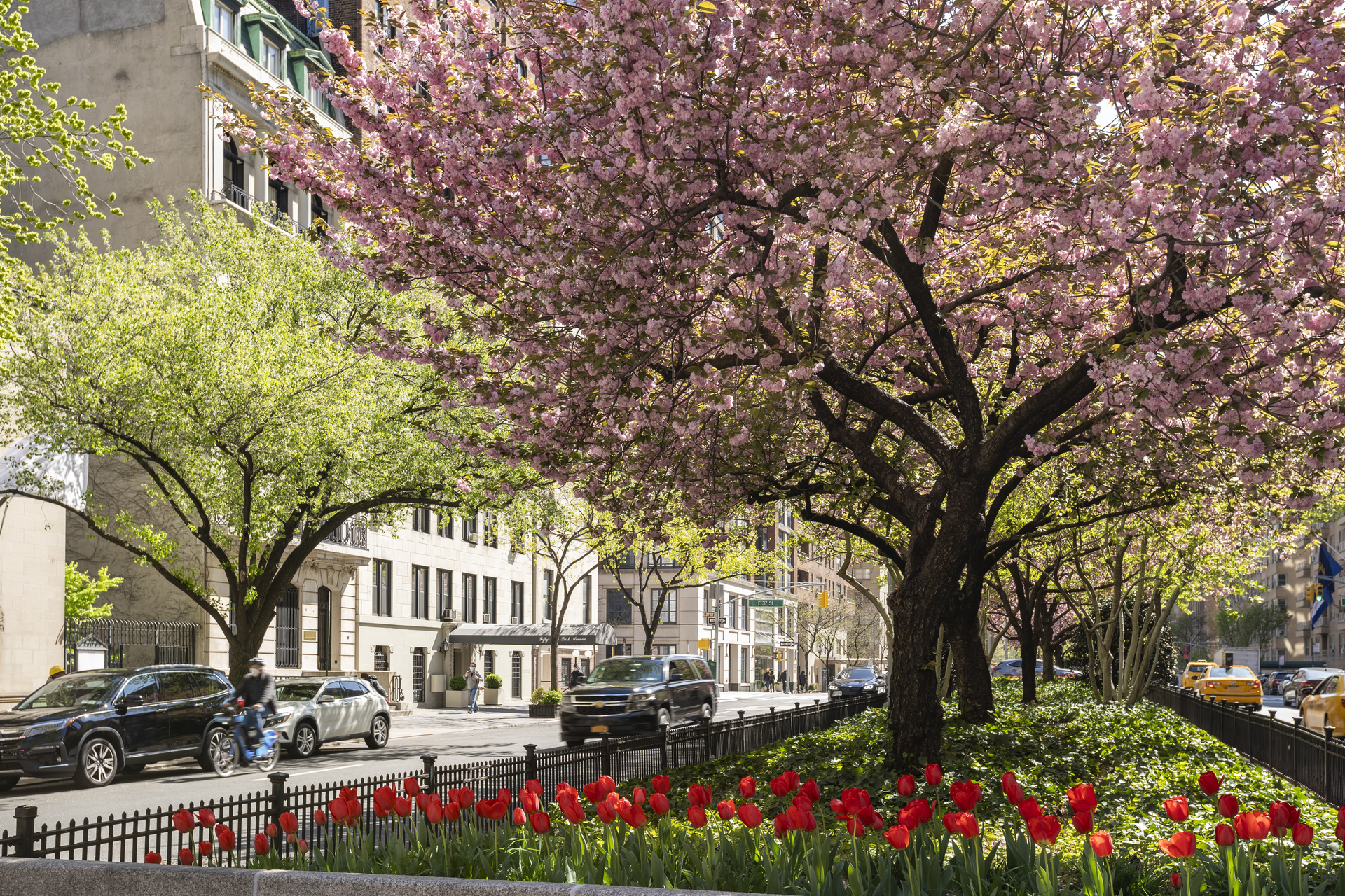 71 Park Avenue 3B Murray Hill New York NY 10016
