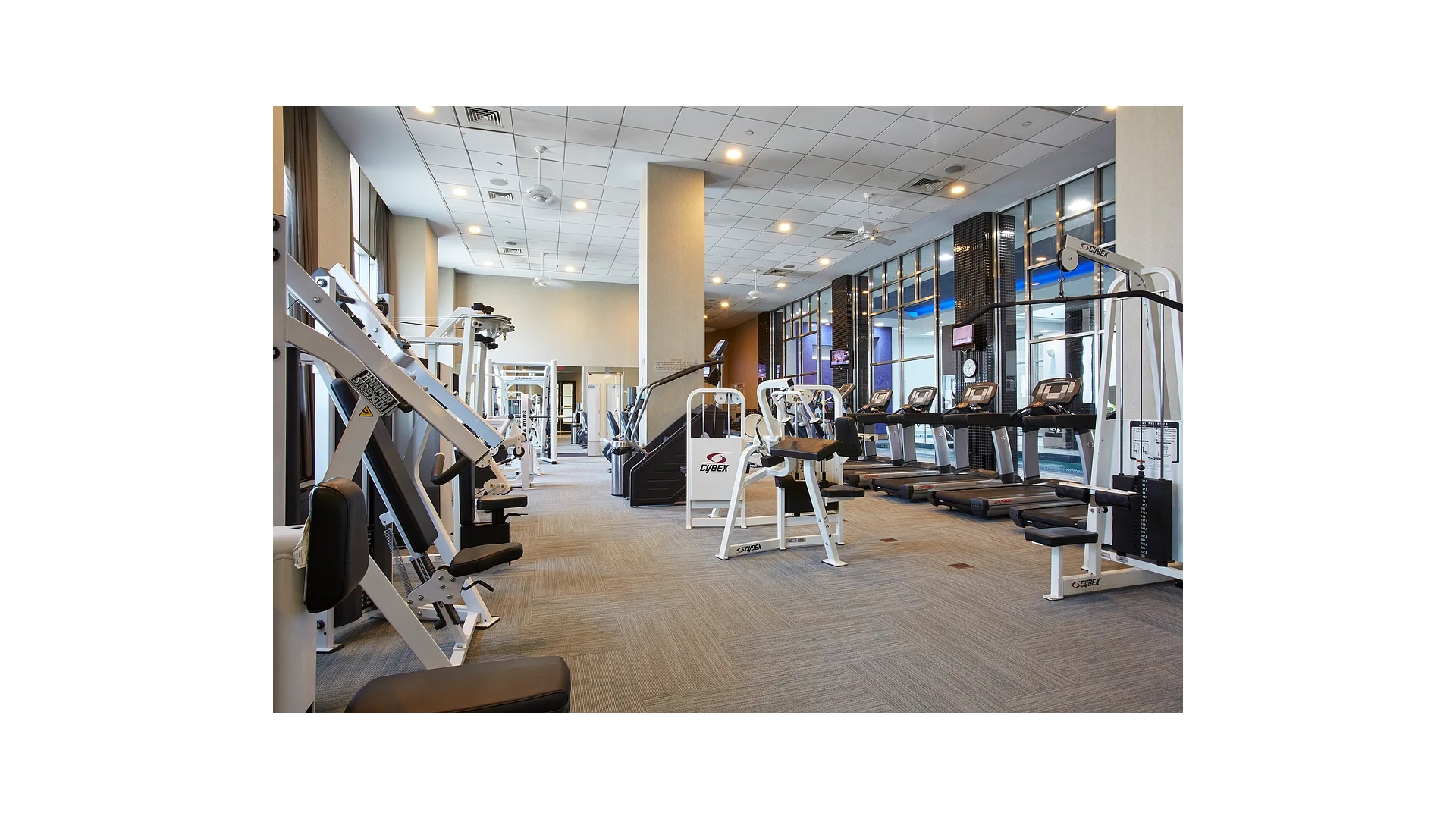 220 Riverside Blvd. 3R Lincoln Square New York NY 10069