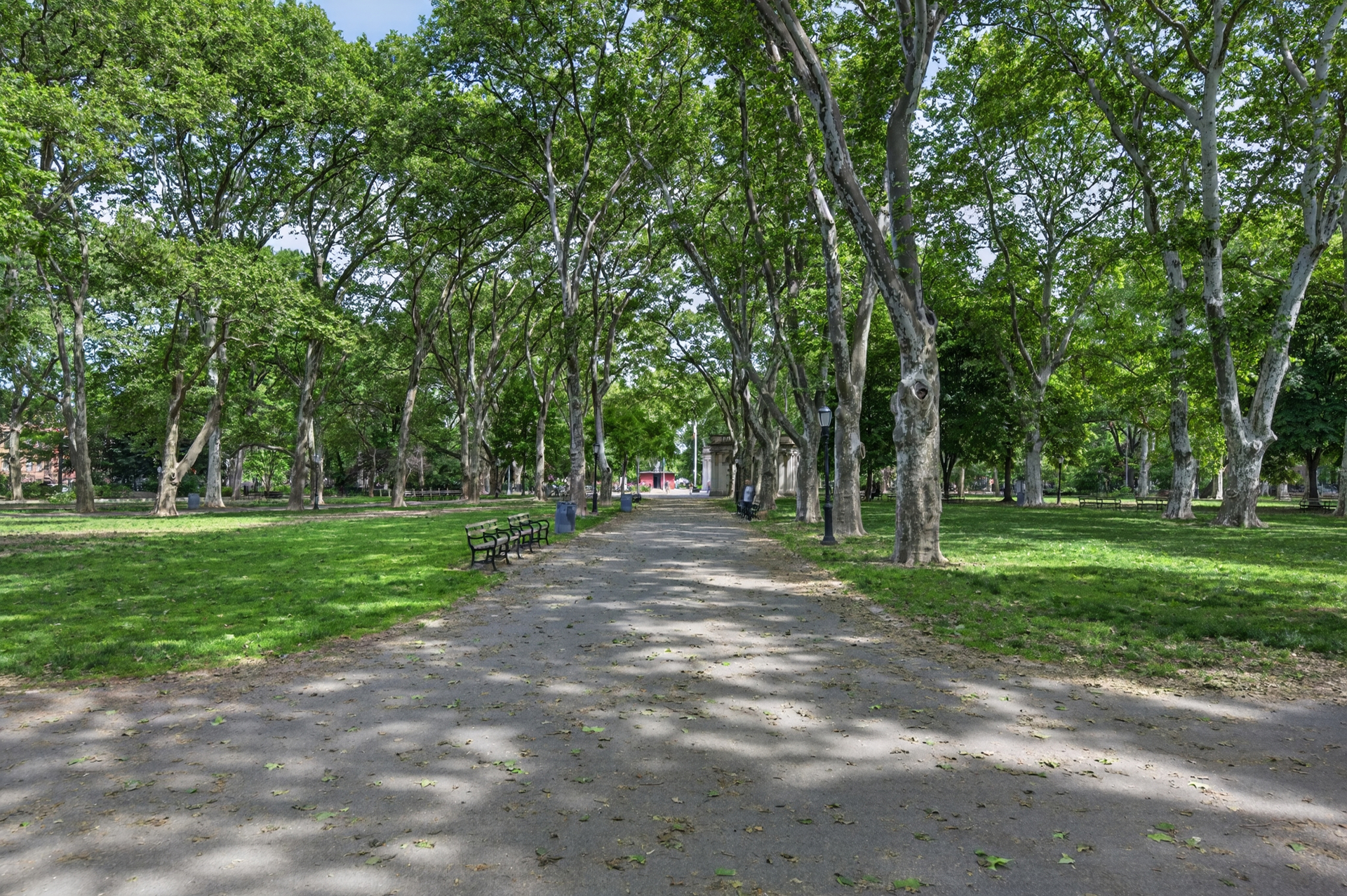 61 North Henry Street 3 Greenpoint Brooklyn NY 11222