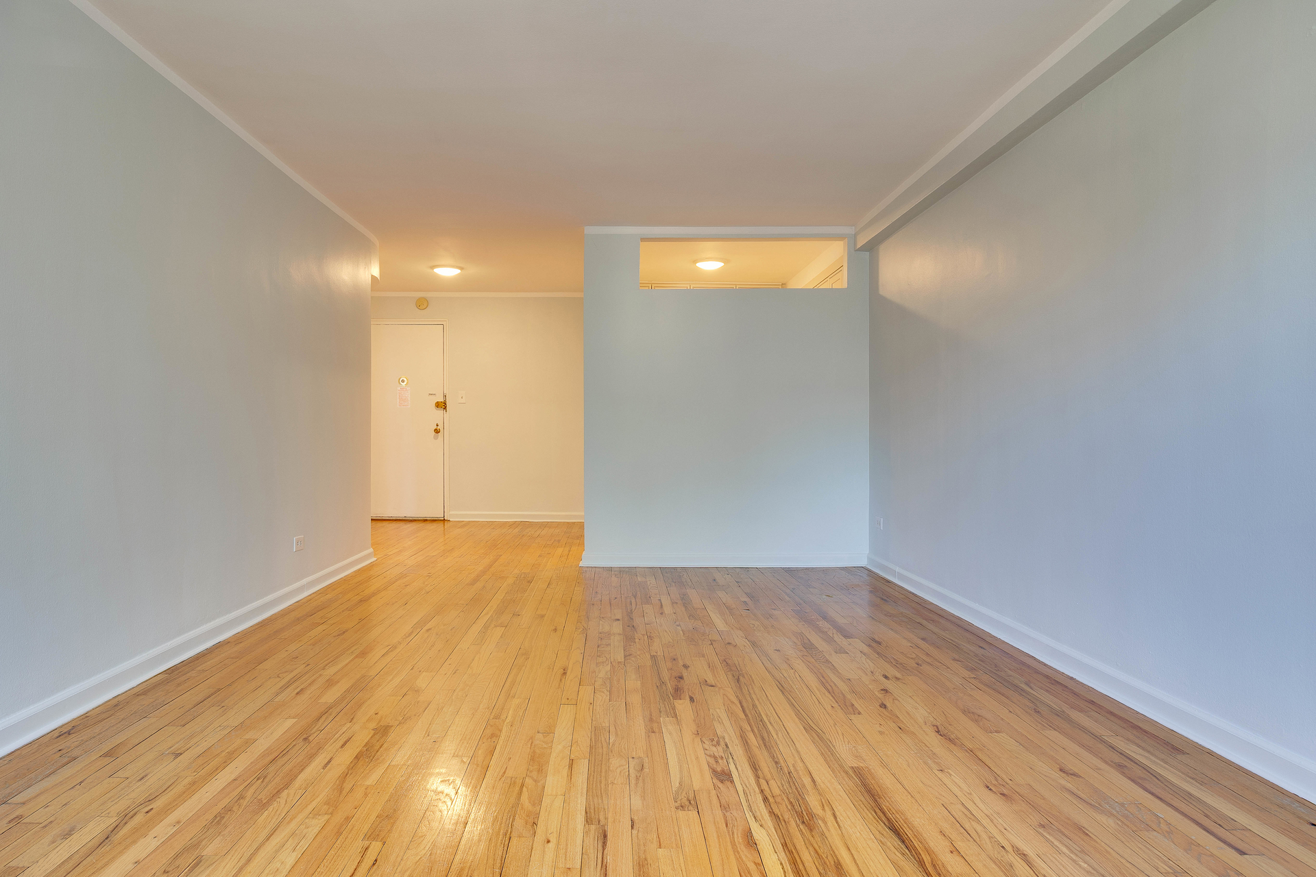 495 East 7th Street 3J Kensington Brooklyn NY 11218