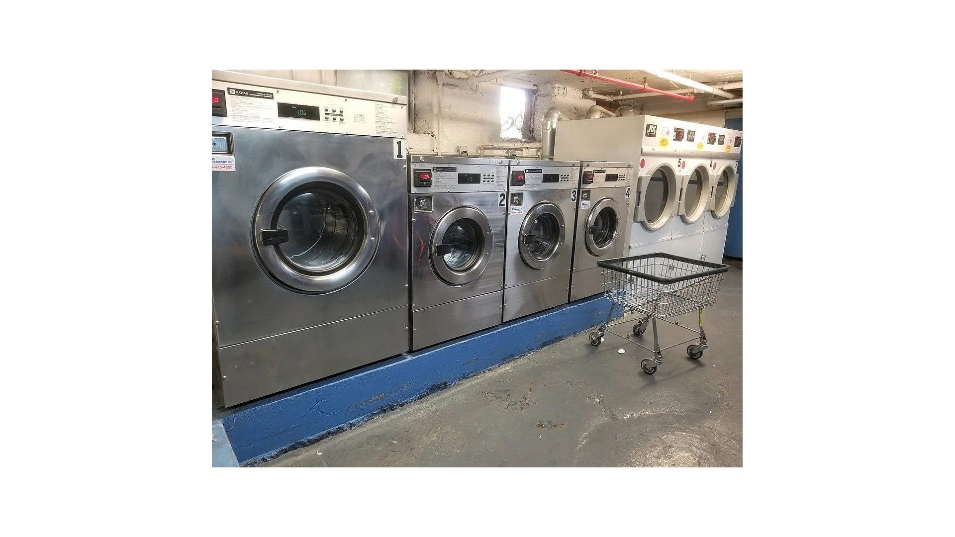 918 East 14th Street F3 Midwood Brooklyn NY 11230