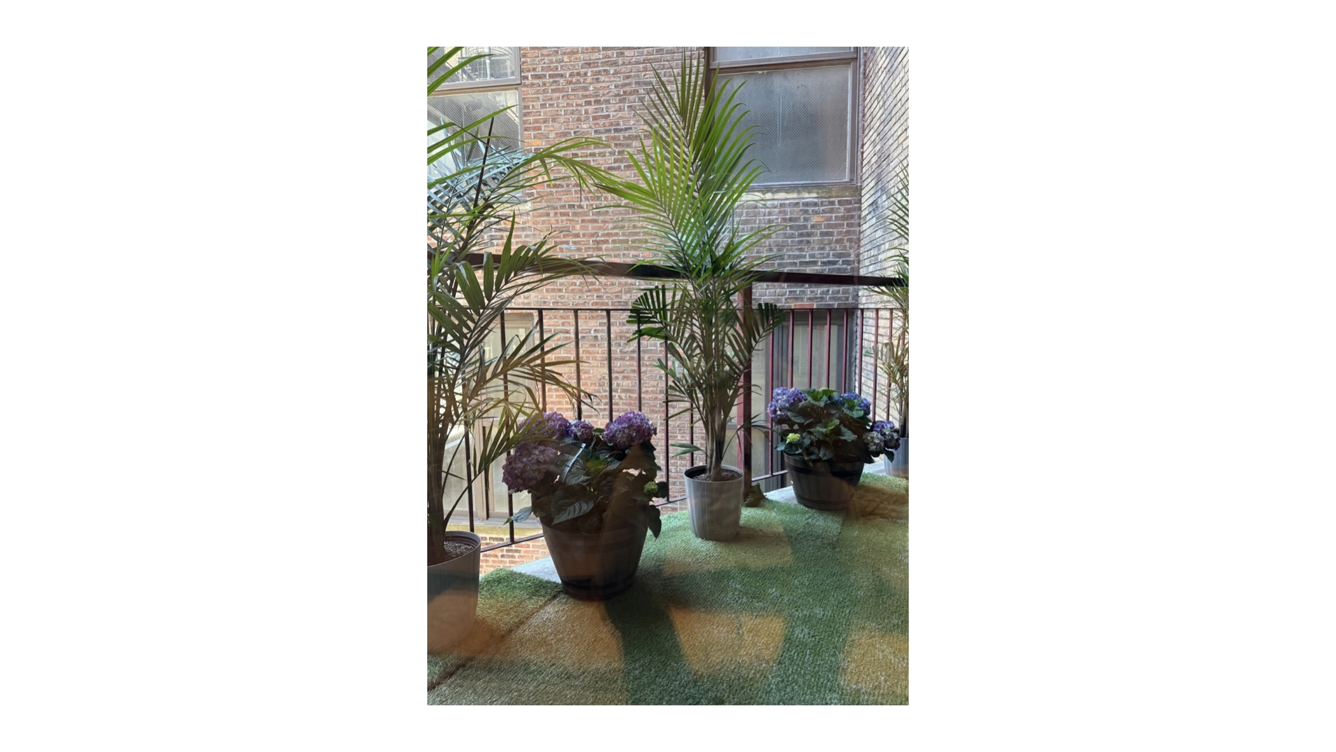 241 West 36th Street Midtown West New York NY 10018