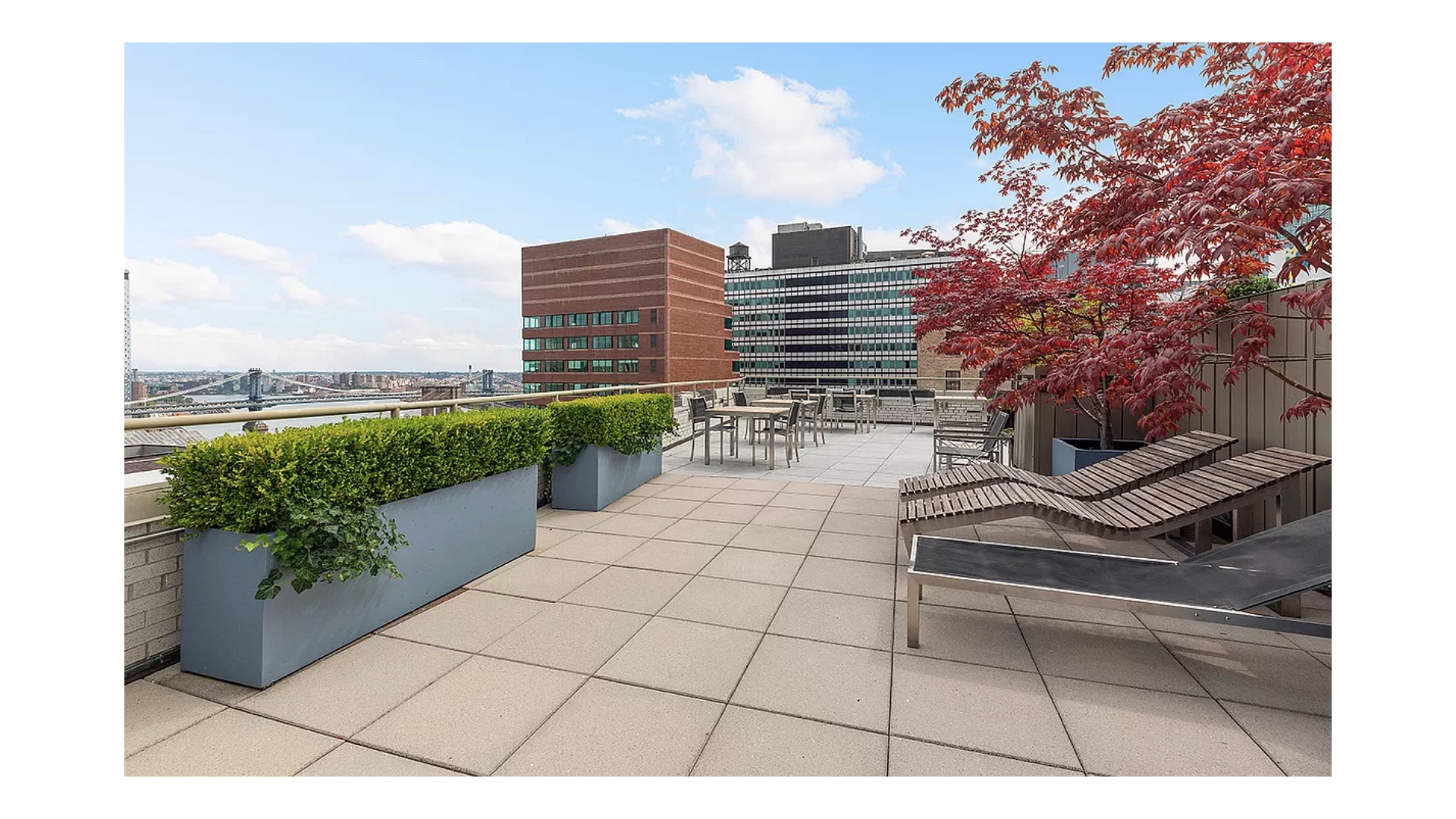 99 John Street 508 Seaport District New York NY 10038