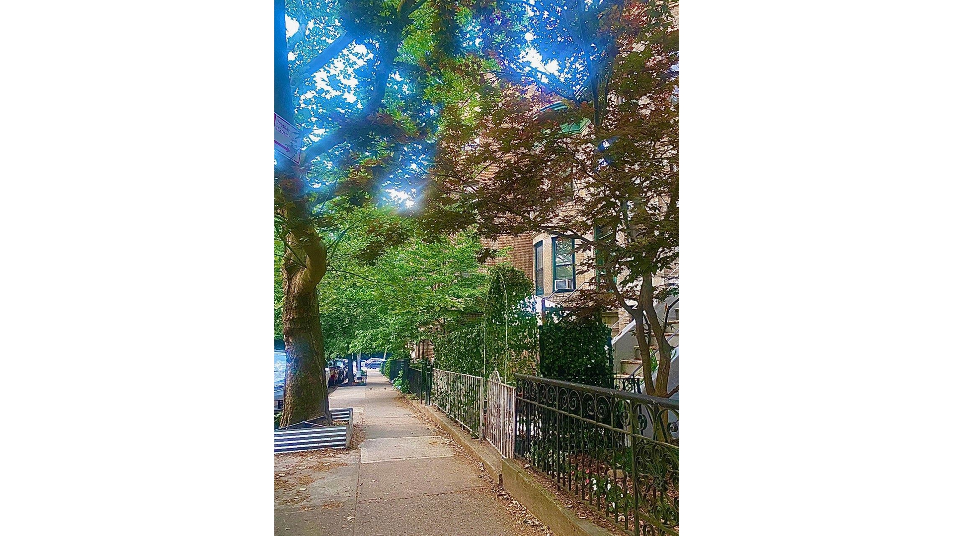 302 Windsor Place 2 Windsor Terrace Brooklyn NY 11218